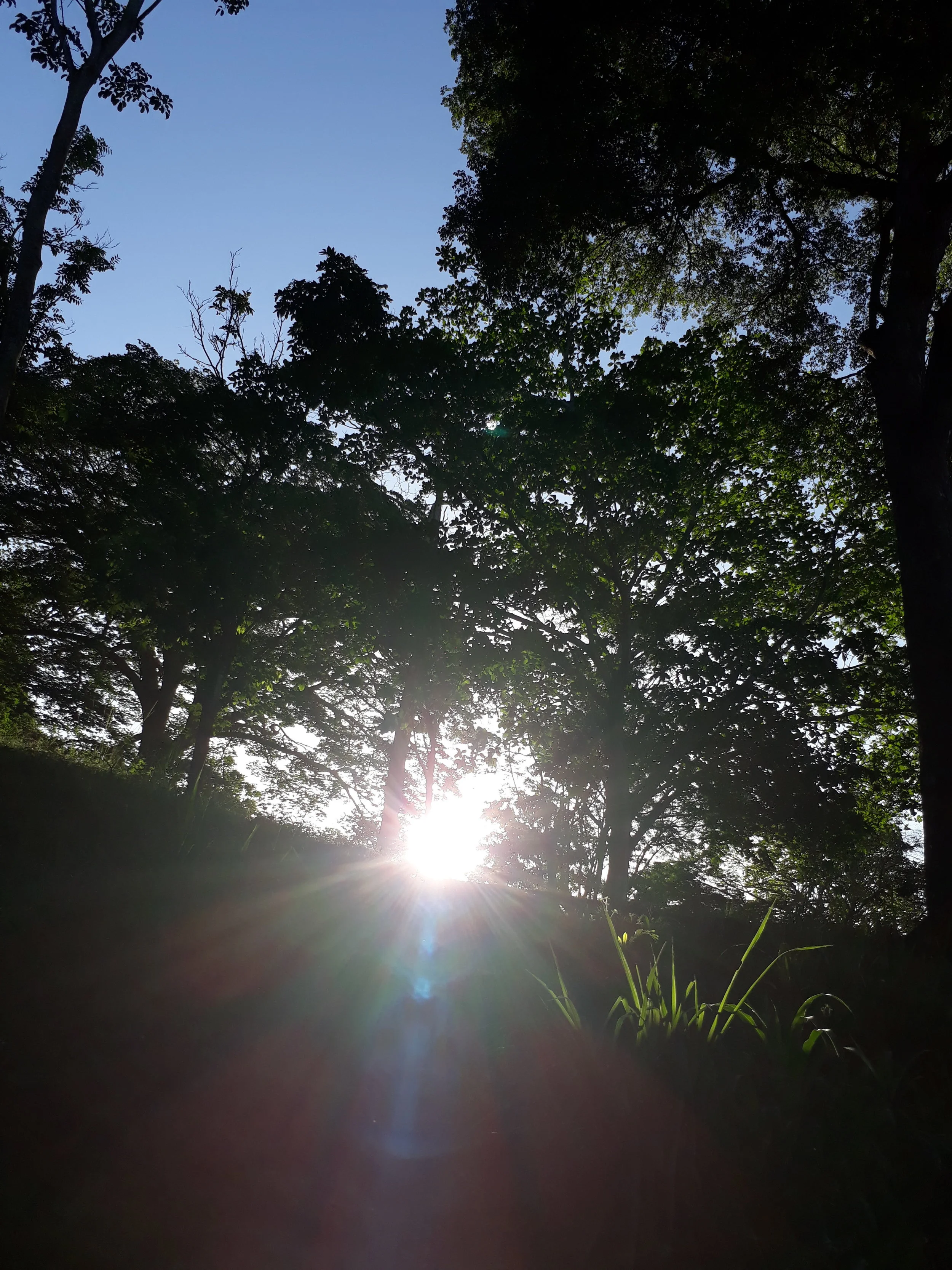 What We Look For Is What We See