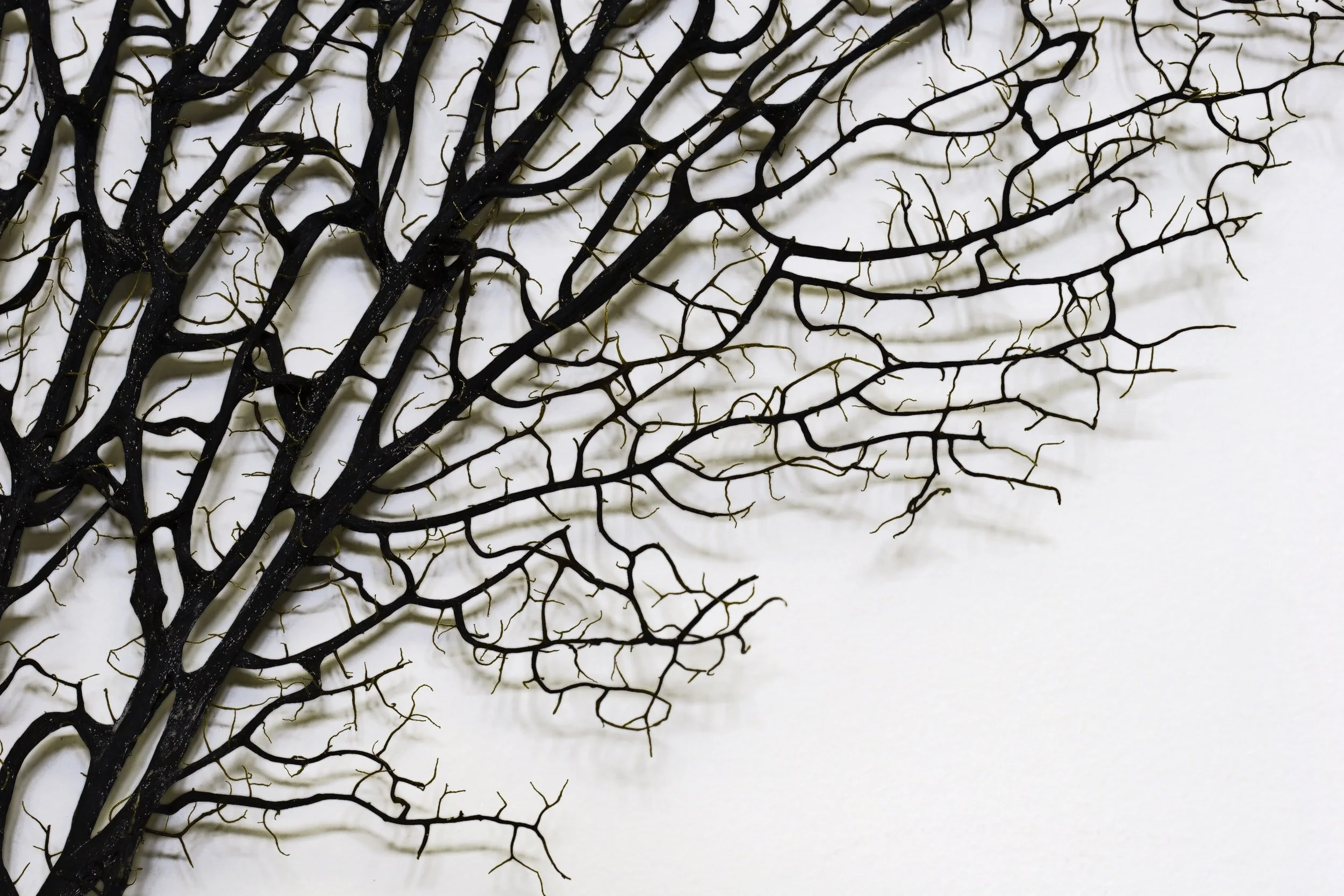 Are You Living in a Pattern? 