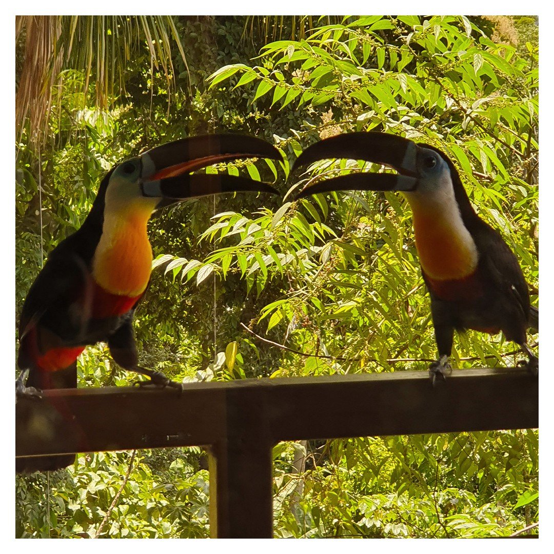 He Who Blames No One Has Arrived 