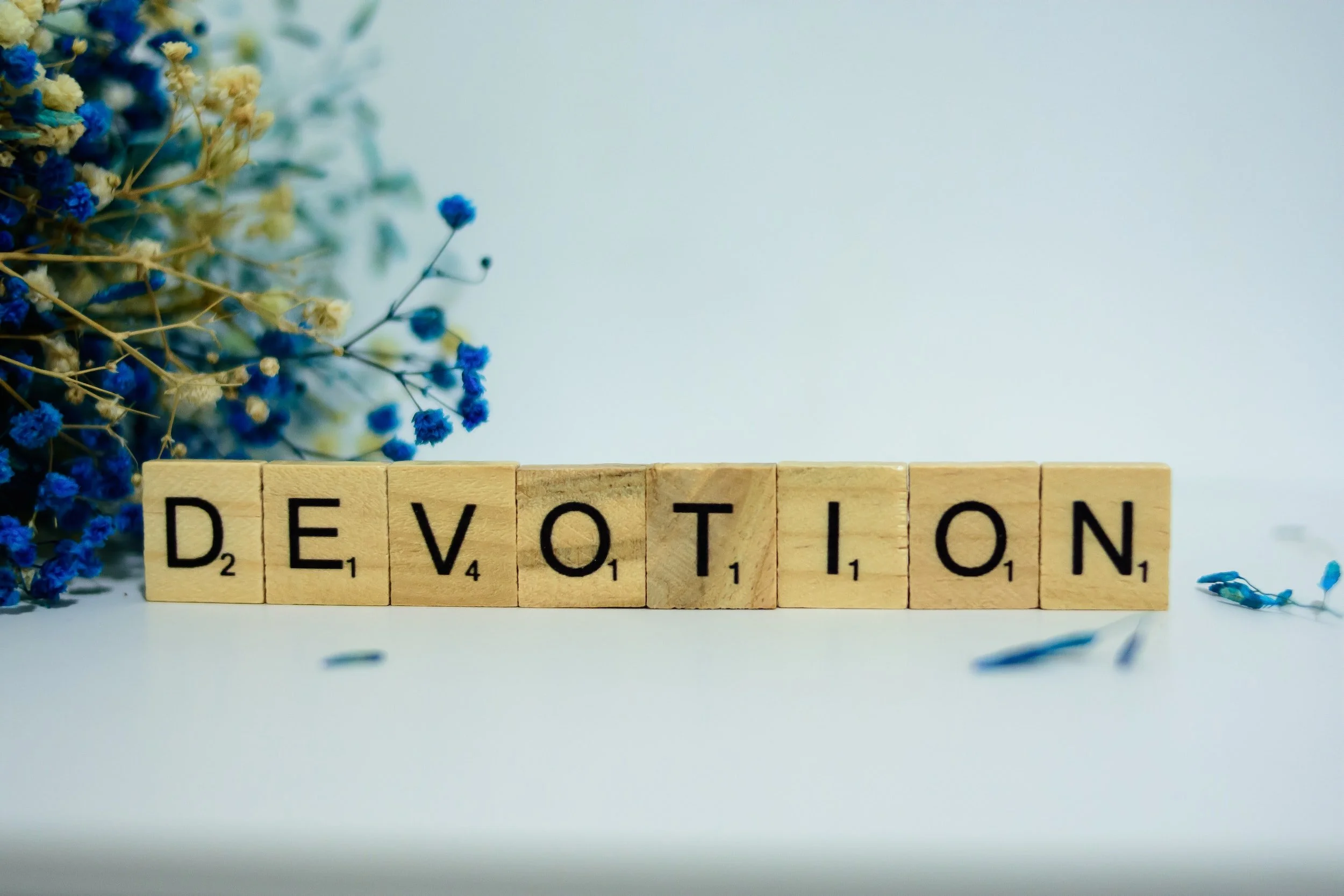 Things I Learned on the Devotion Train 