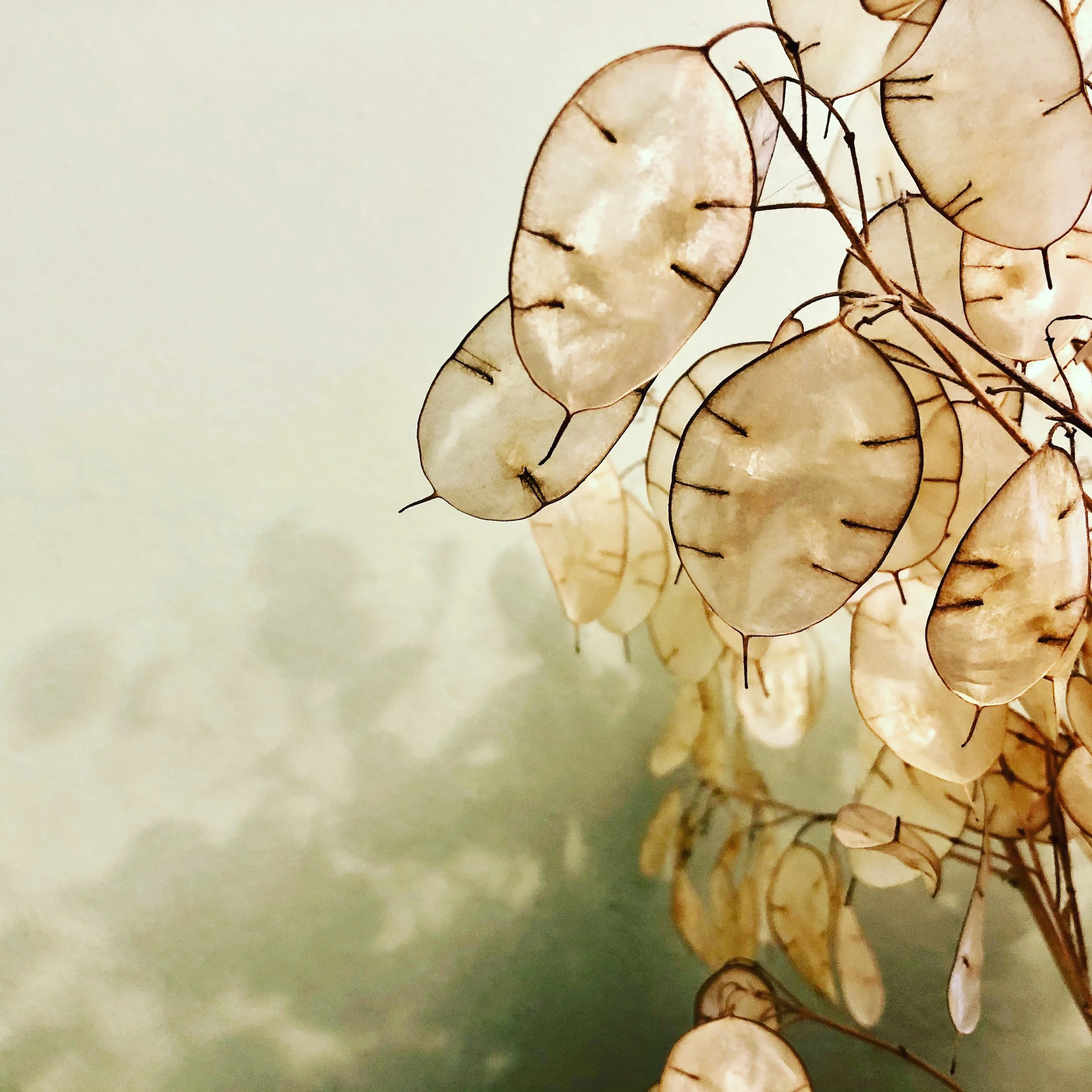 Radical Honesty is Kind