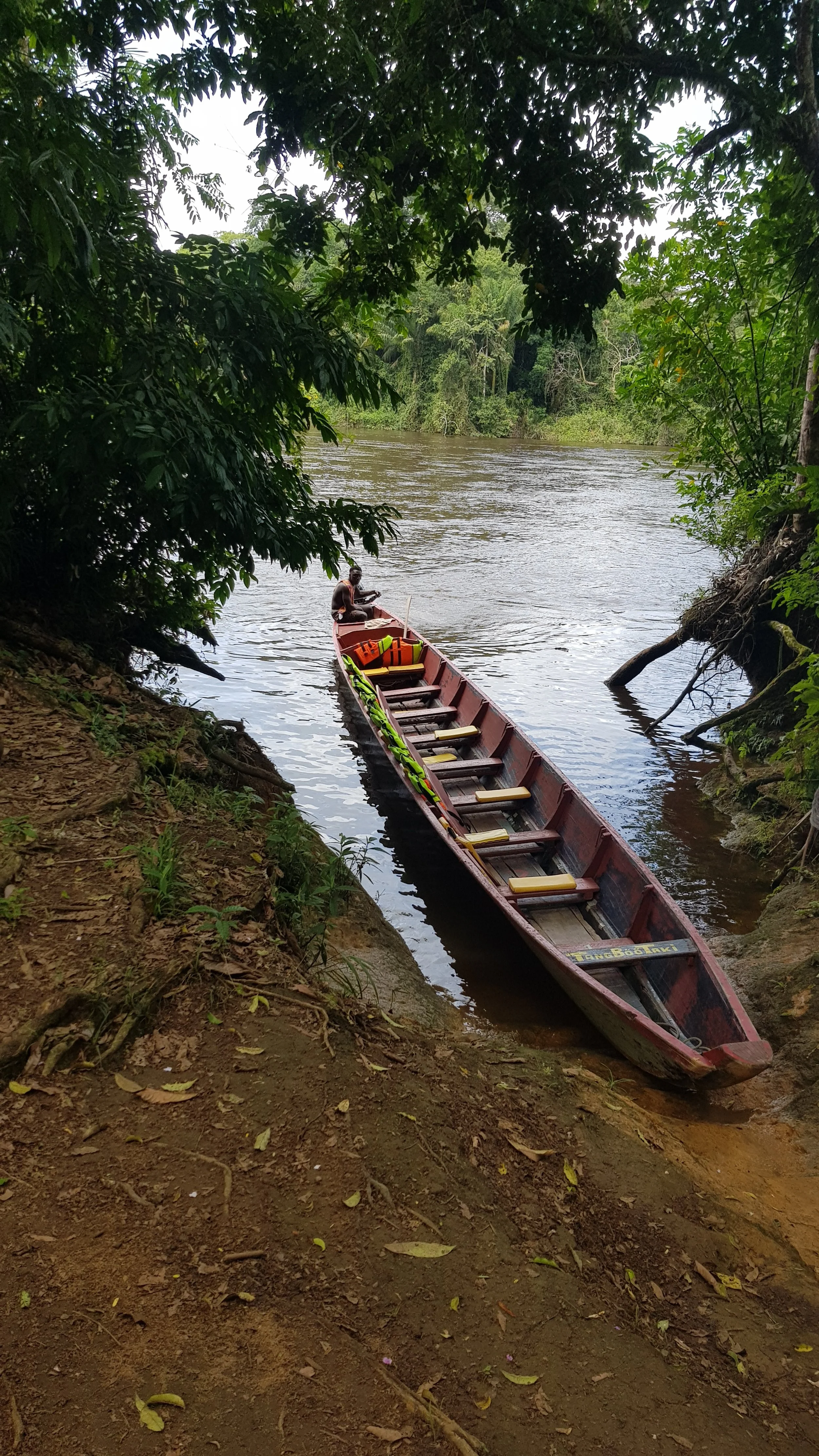 Ten Lessons from Being in the Forest