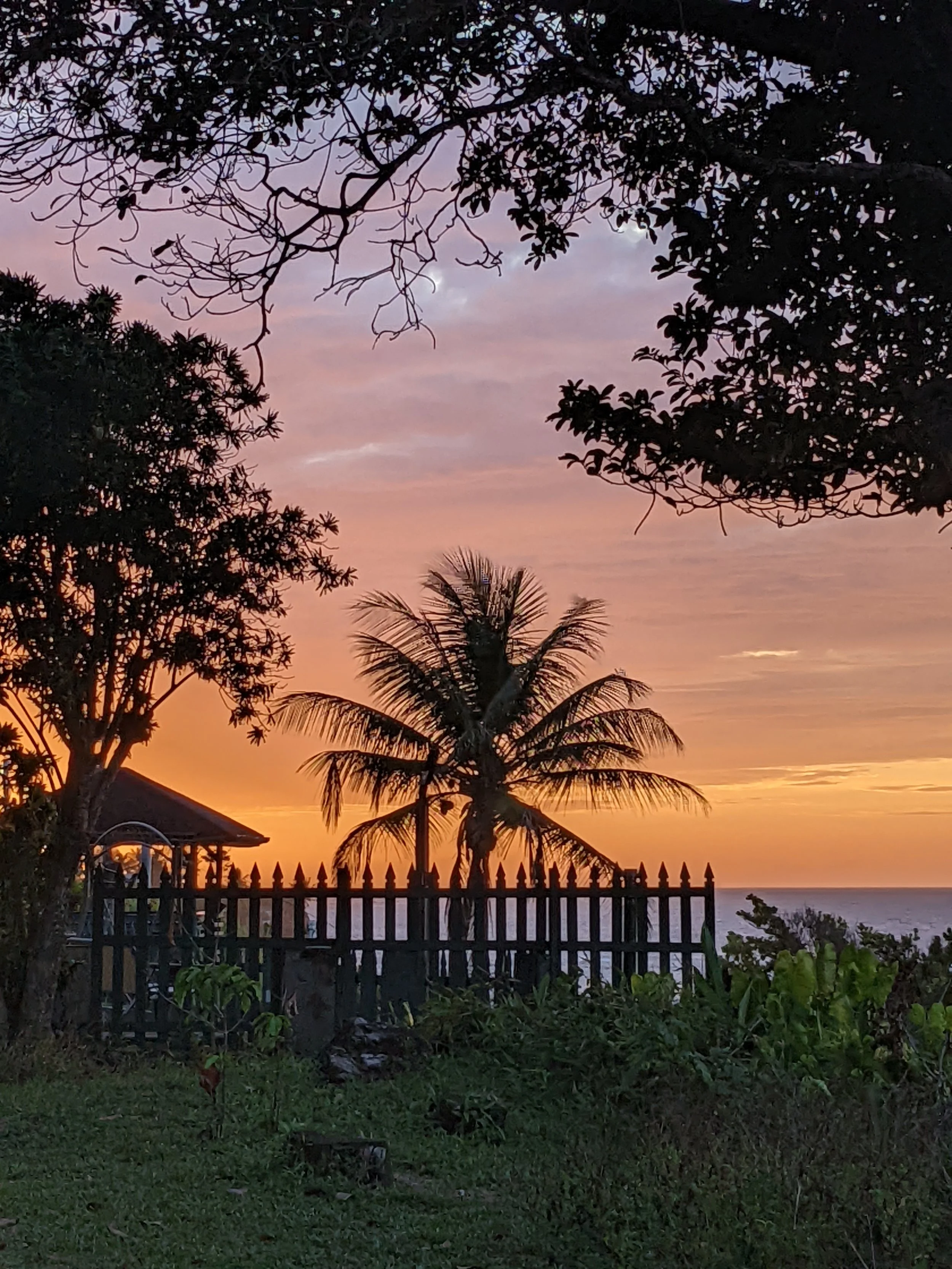 Your Life, Your Choice 