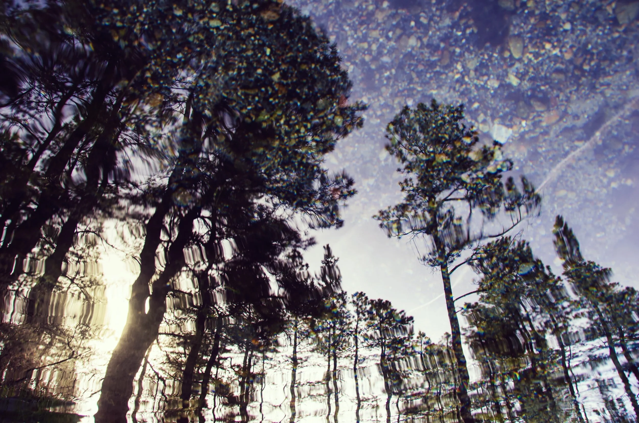 Perceptions become Reality 