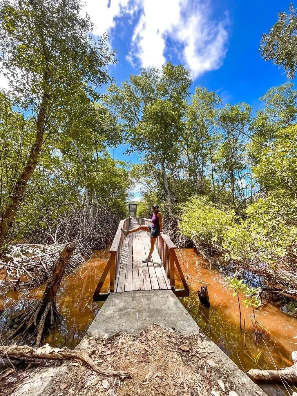 Nature Answers Our Questions