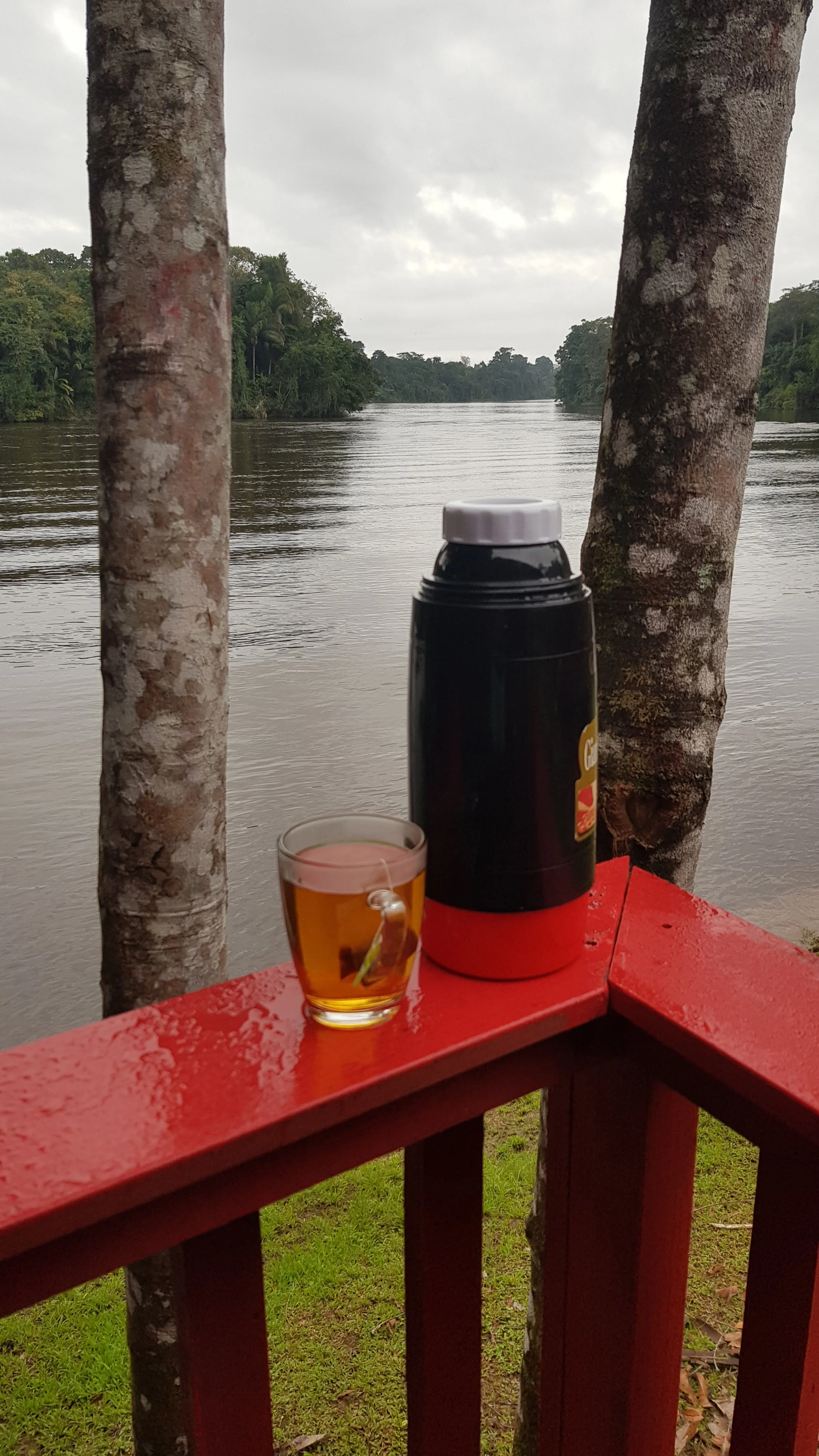 Choose Well - You become a reflection of your consistent actions 