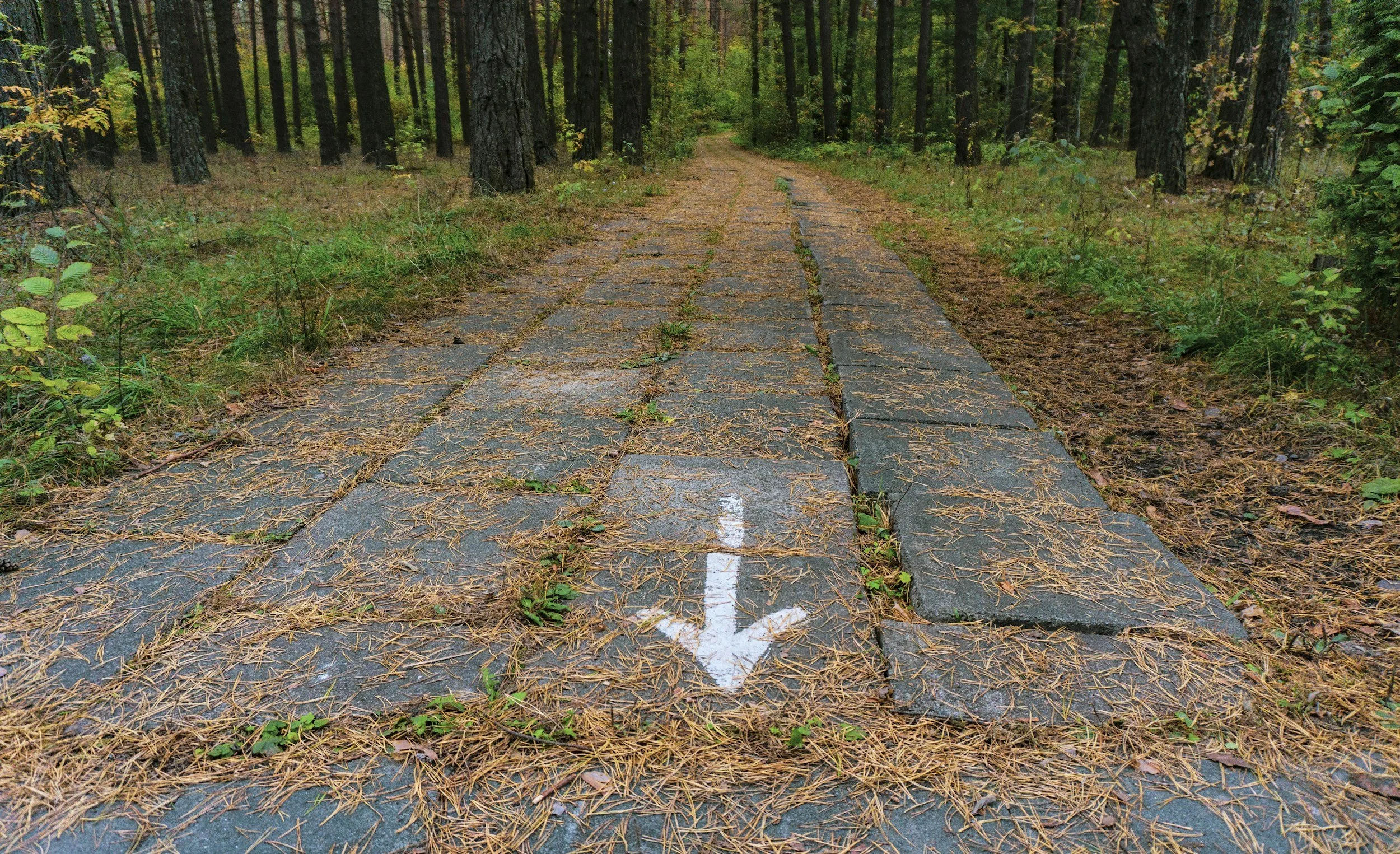 How Do you Keep Going? 