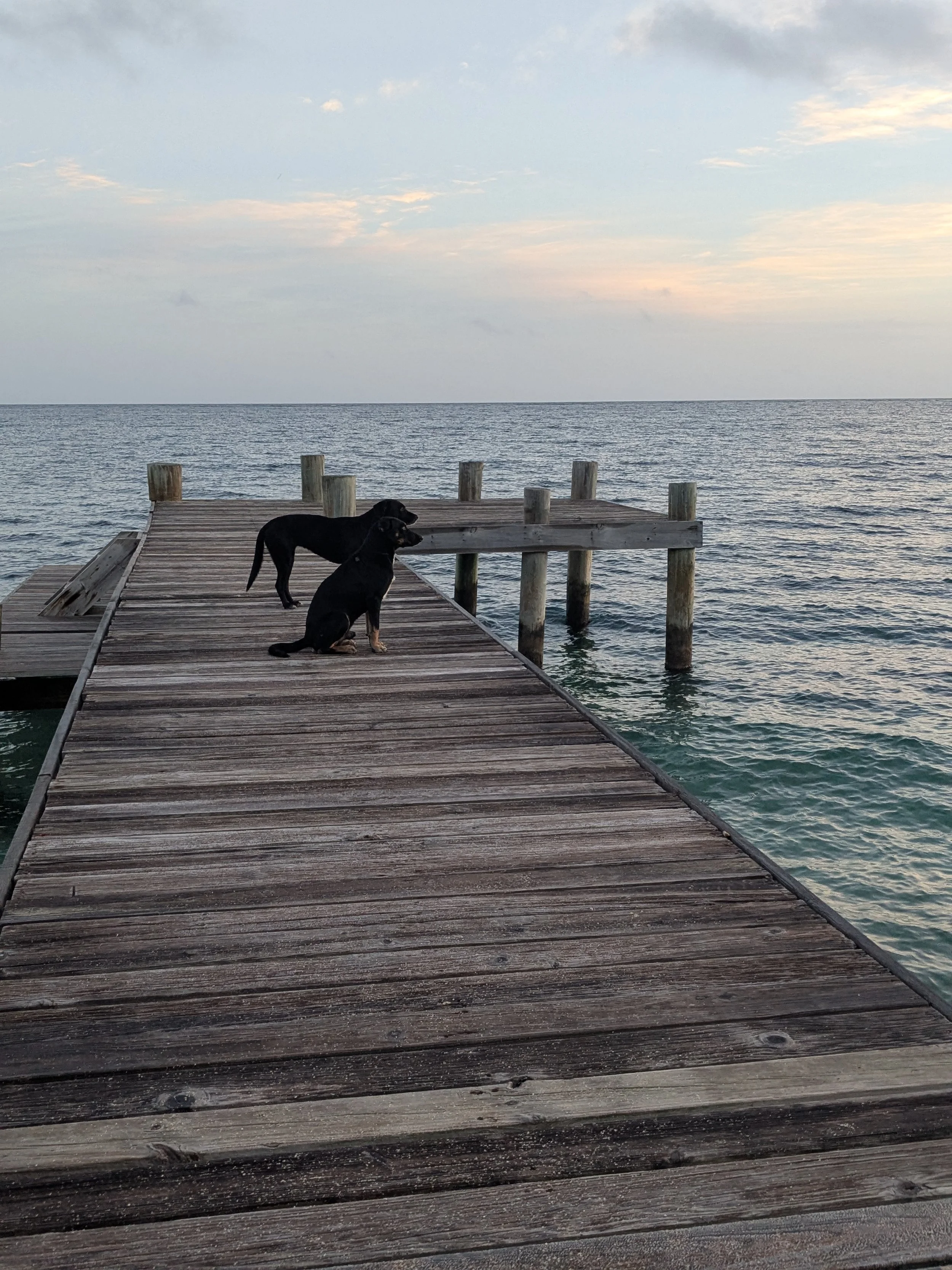 A Simple Christmas on Roatán: Embracing Traditions and Mindful Living