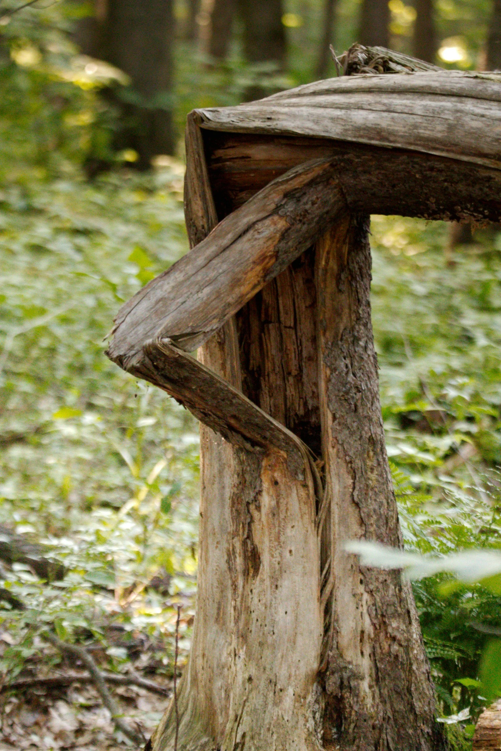 Is It Fear of Confrontation or the Illusion of Kindness?