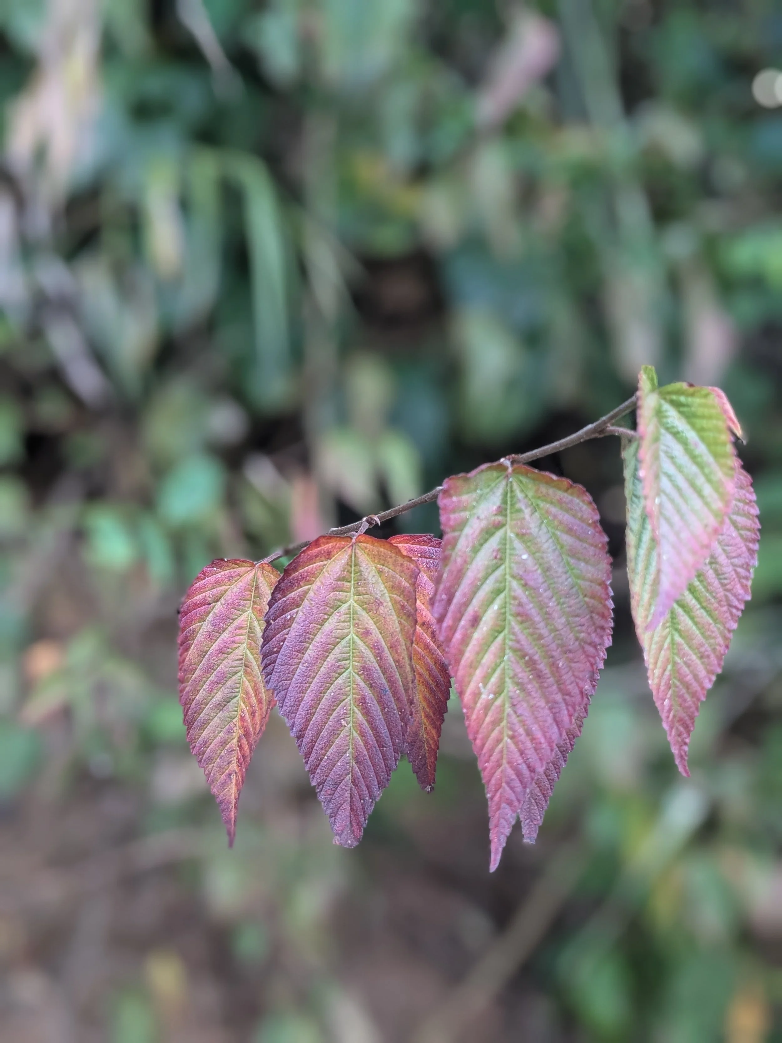 From Revelry to Reflection: How a Silent Retreat Changed My Perspective