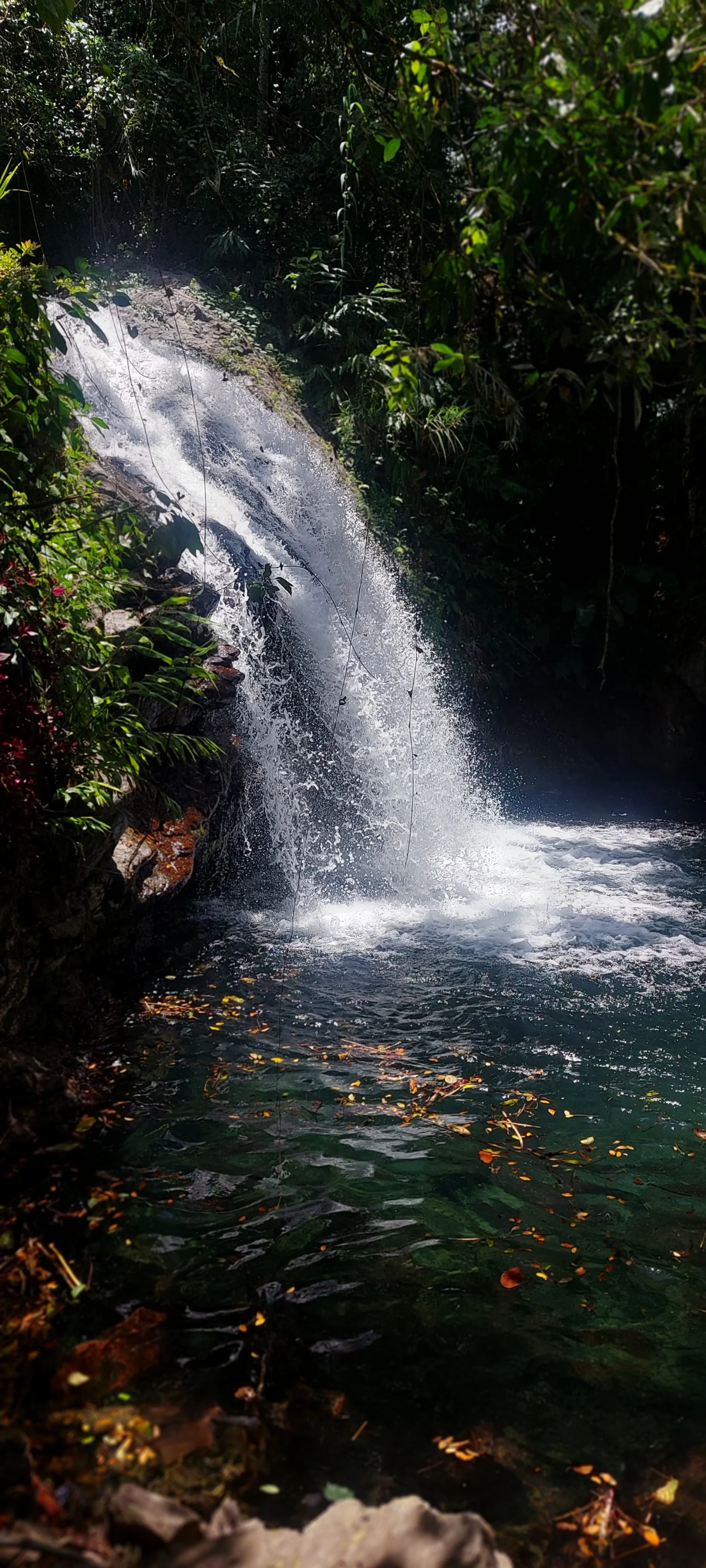 Answering the call of Fish Dunn