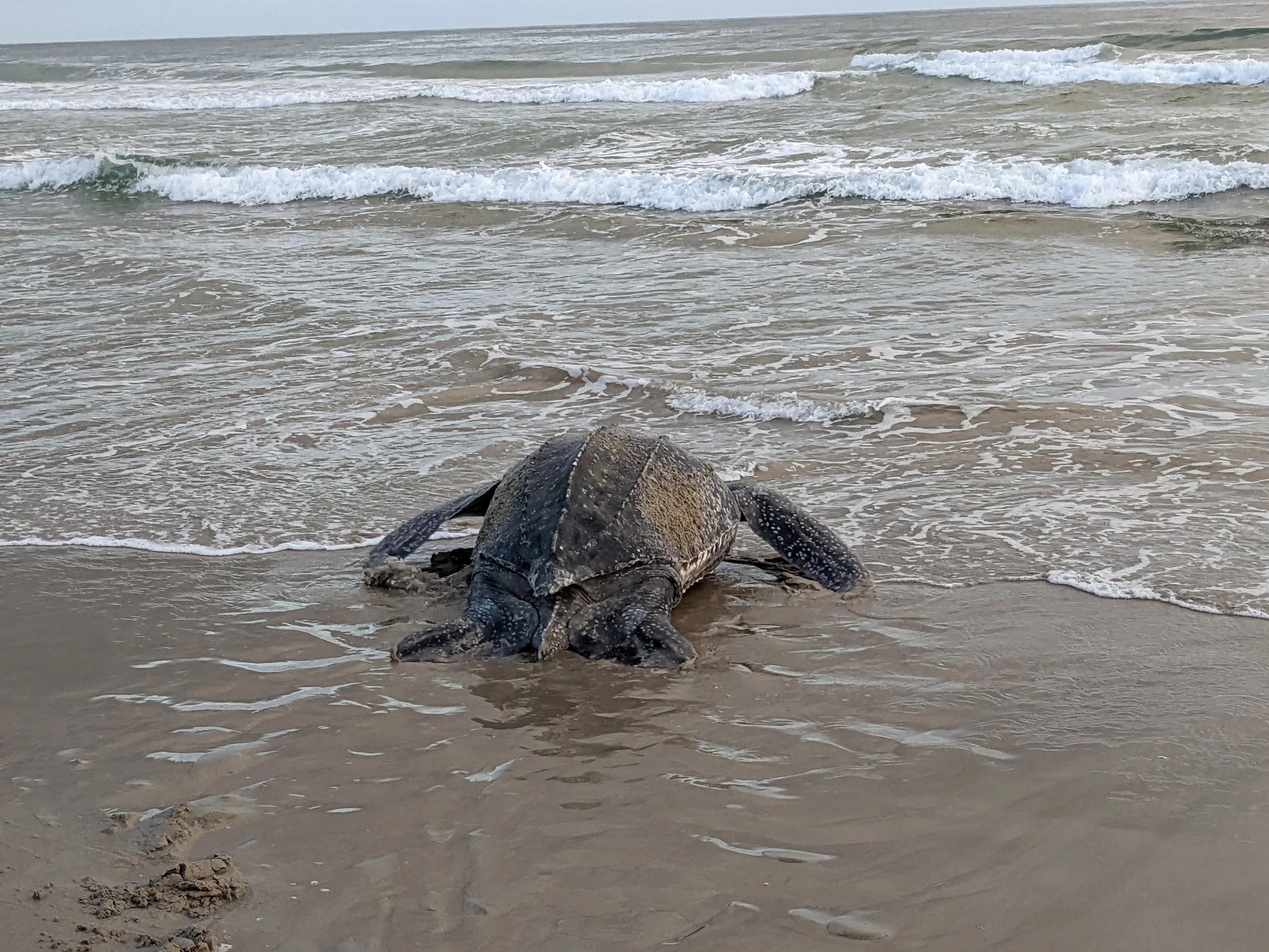 Lessons from Bobbi: Preparation, Faith, and Letting Go at Sunrise