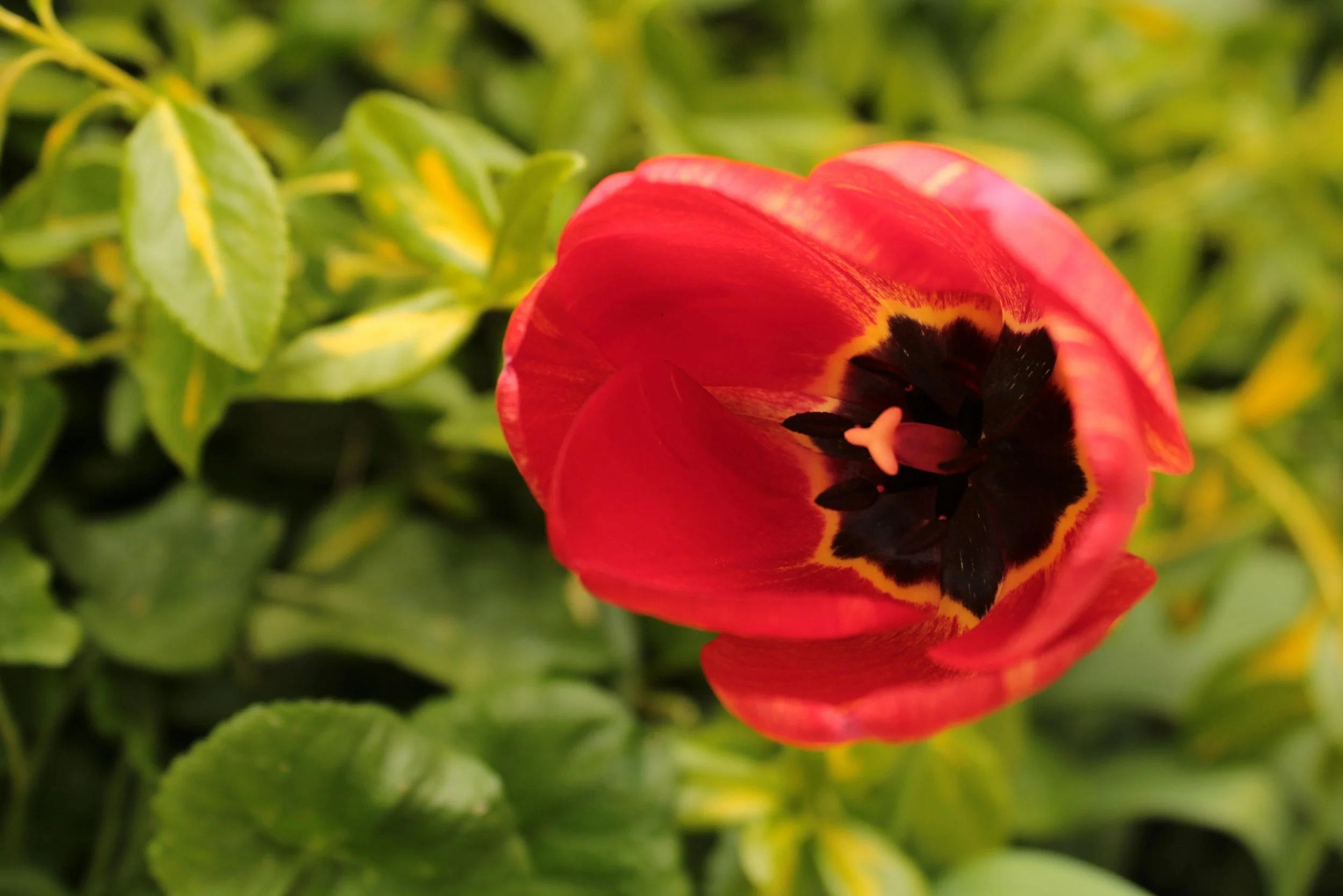 Staying the Course - The Quiet Bravery of Growth 