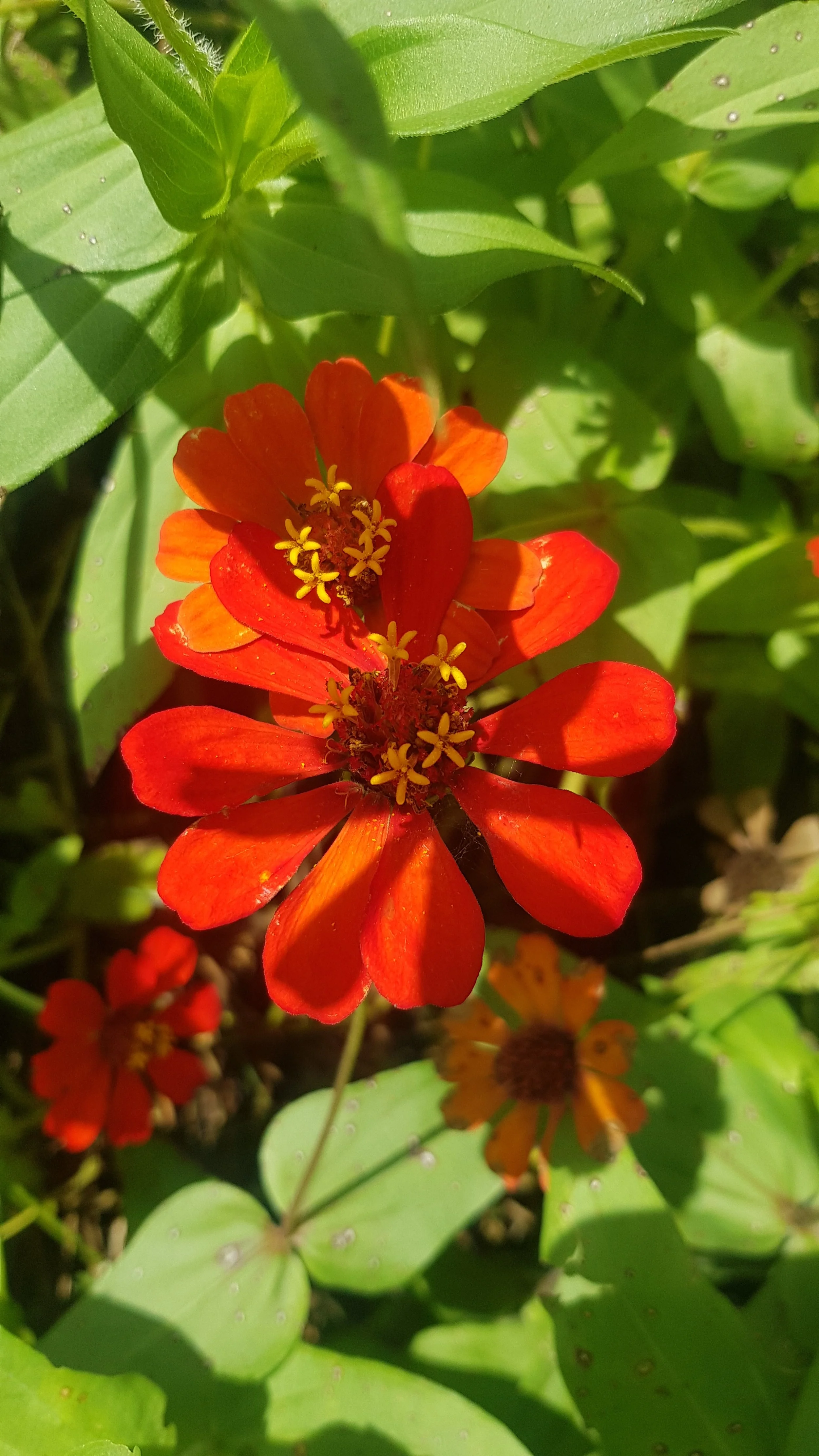 The Measure of Alignment