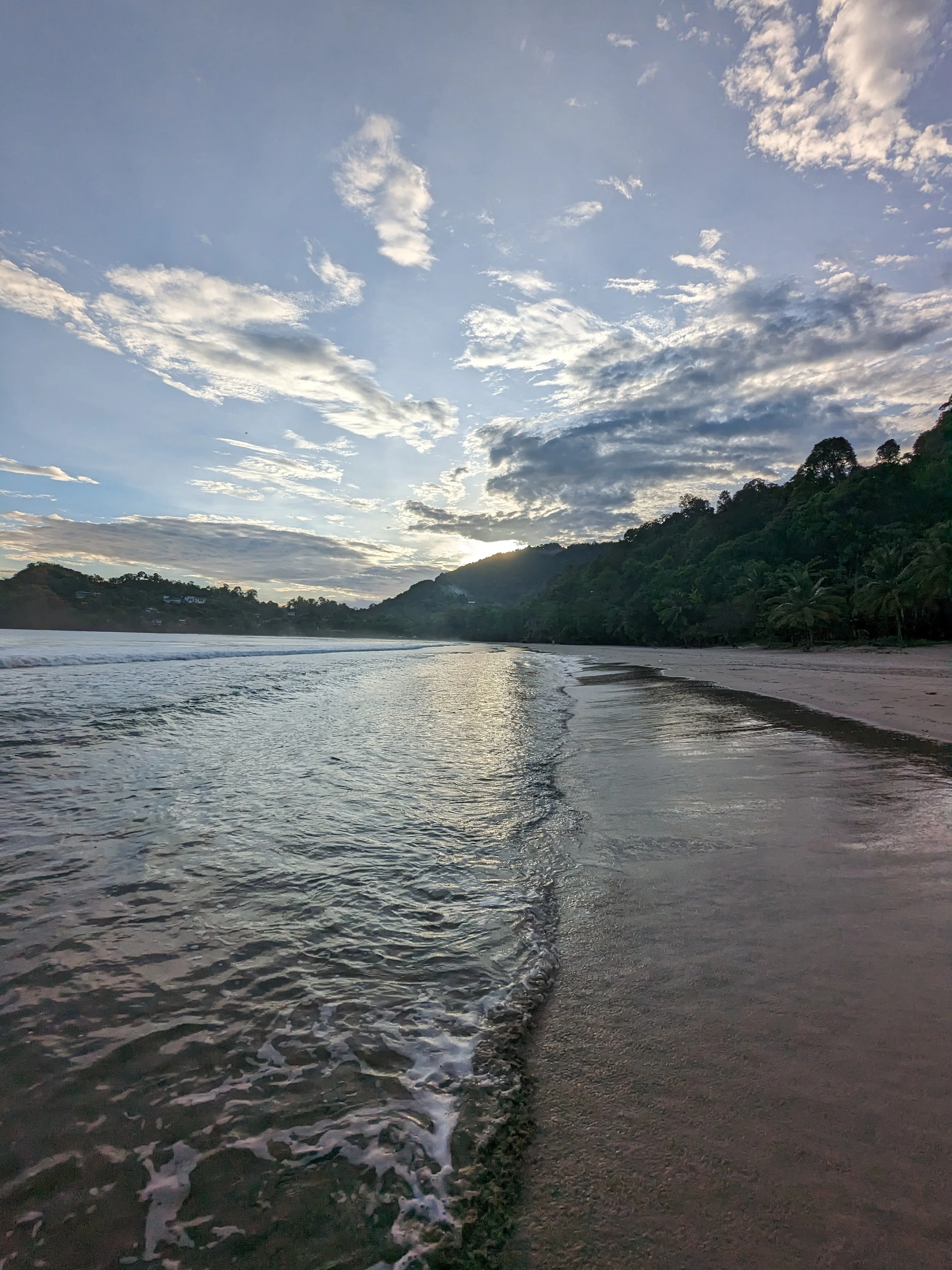 Lessons from the Wild Ocean