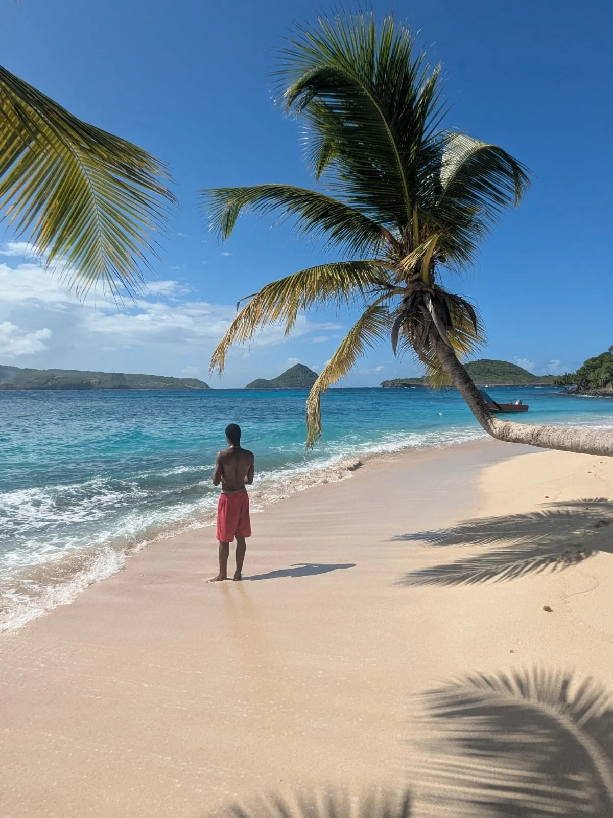 Telescope, Courage, and the Call to Become