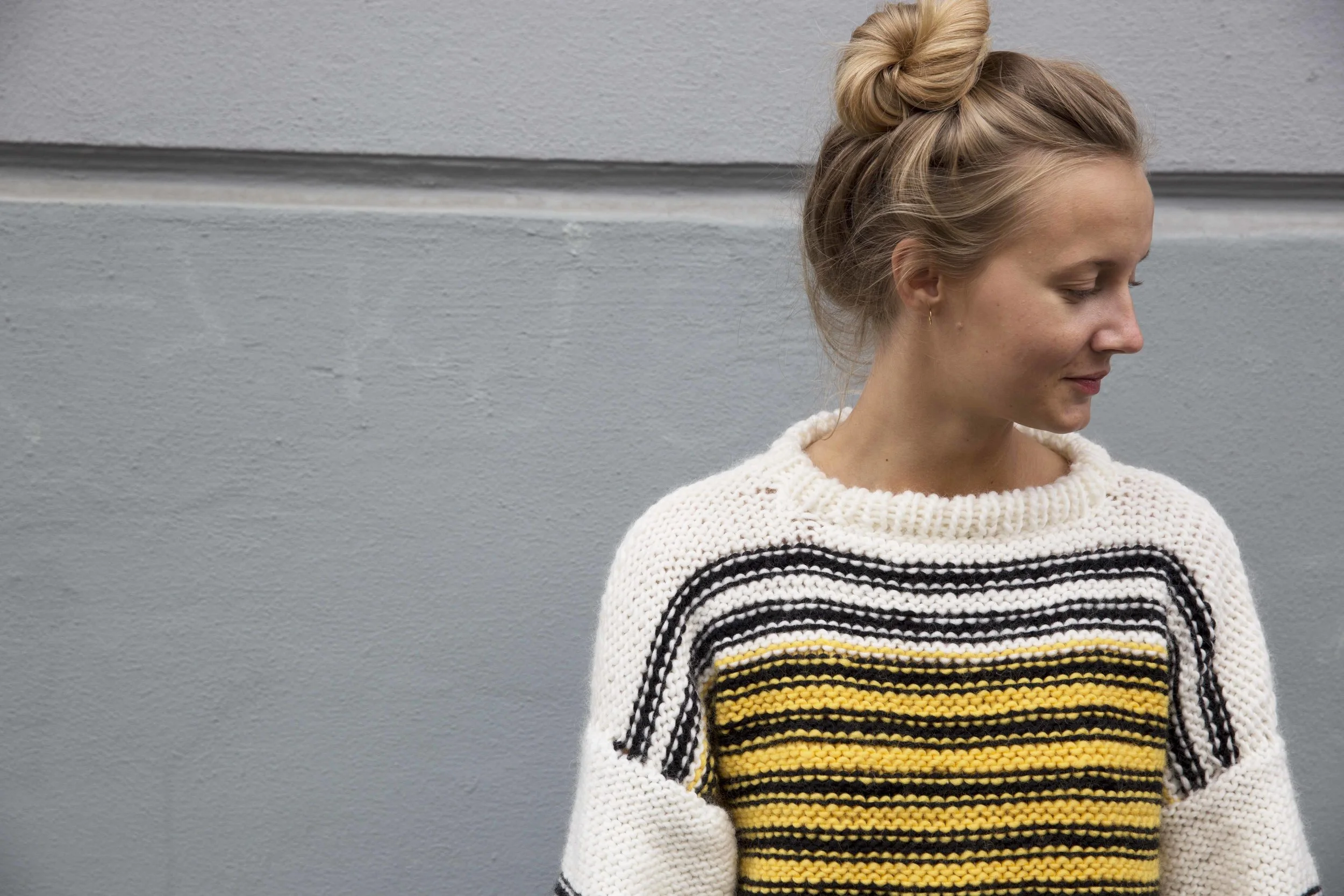 THE WASP SWEATER3_L.jpg