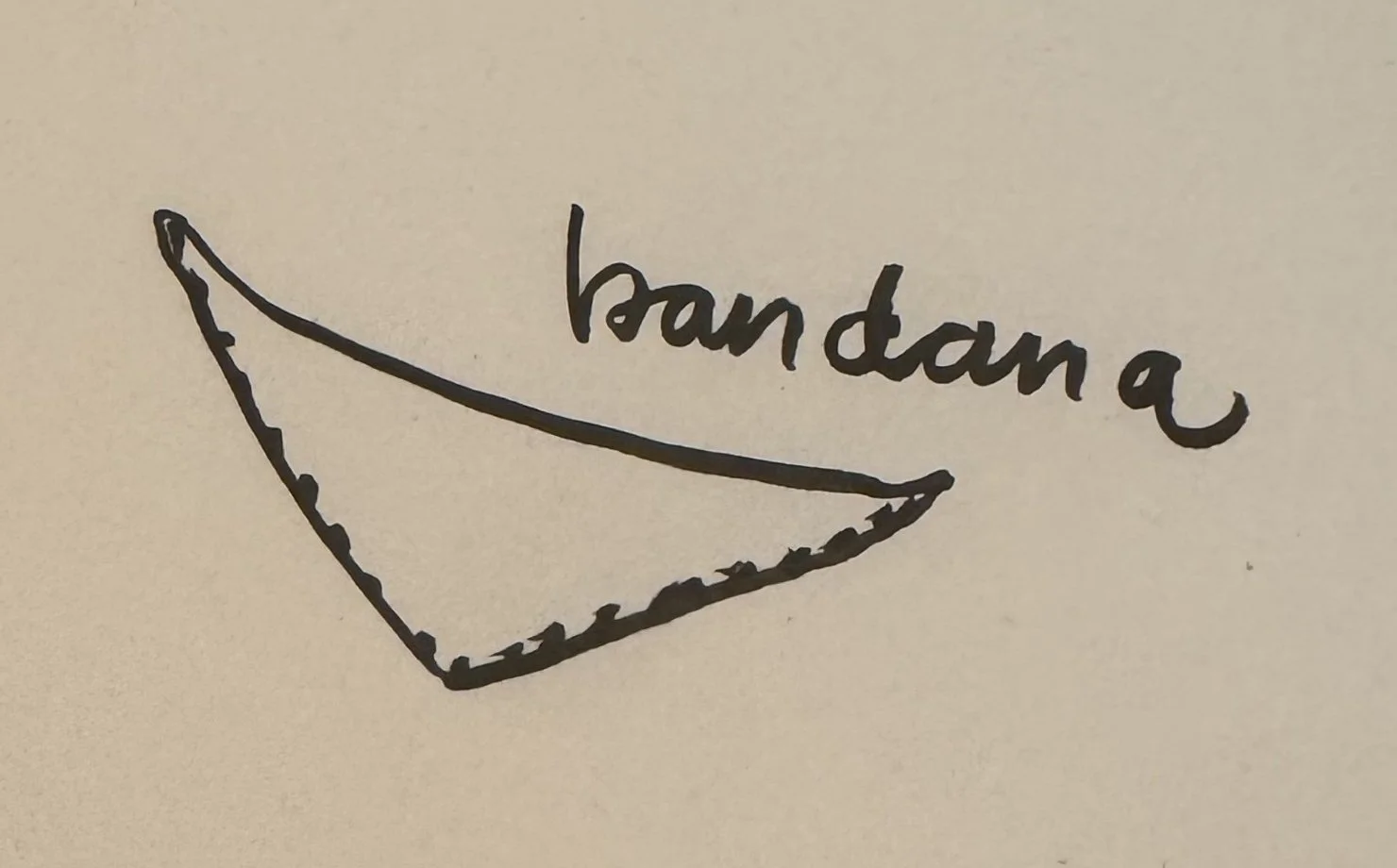CBK_bandana.jpg