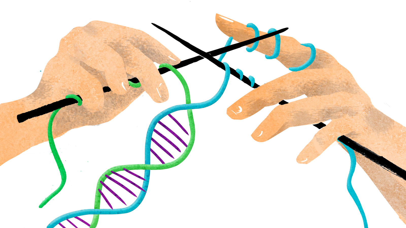 Katolik kilisesinin DNA'nın evrimi hakkındaki resmi görüşü 
