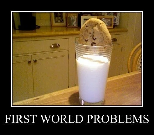 fırstworldproblem.jpg