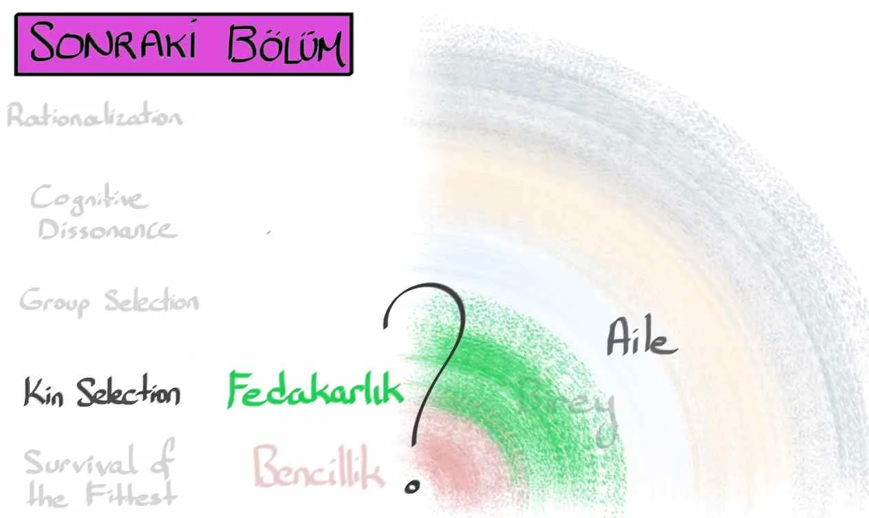 1_Bencillik15.jpg