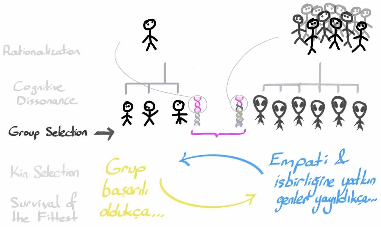 3_GroupSelection14.jpg