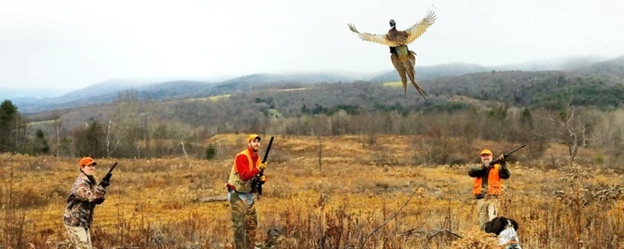 hunt3-min.jpg