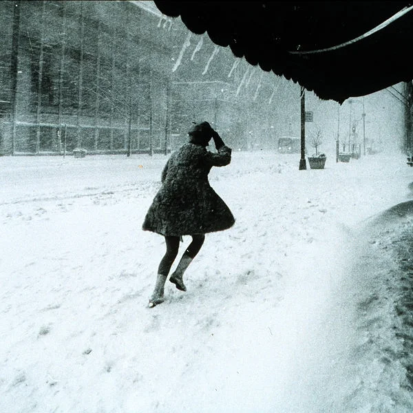 Preparing For Your First Winter