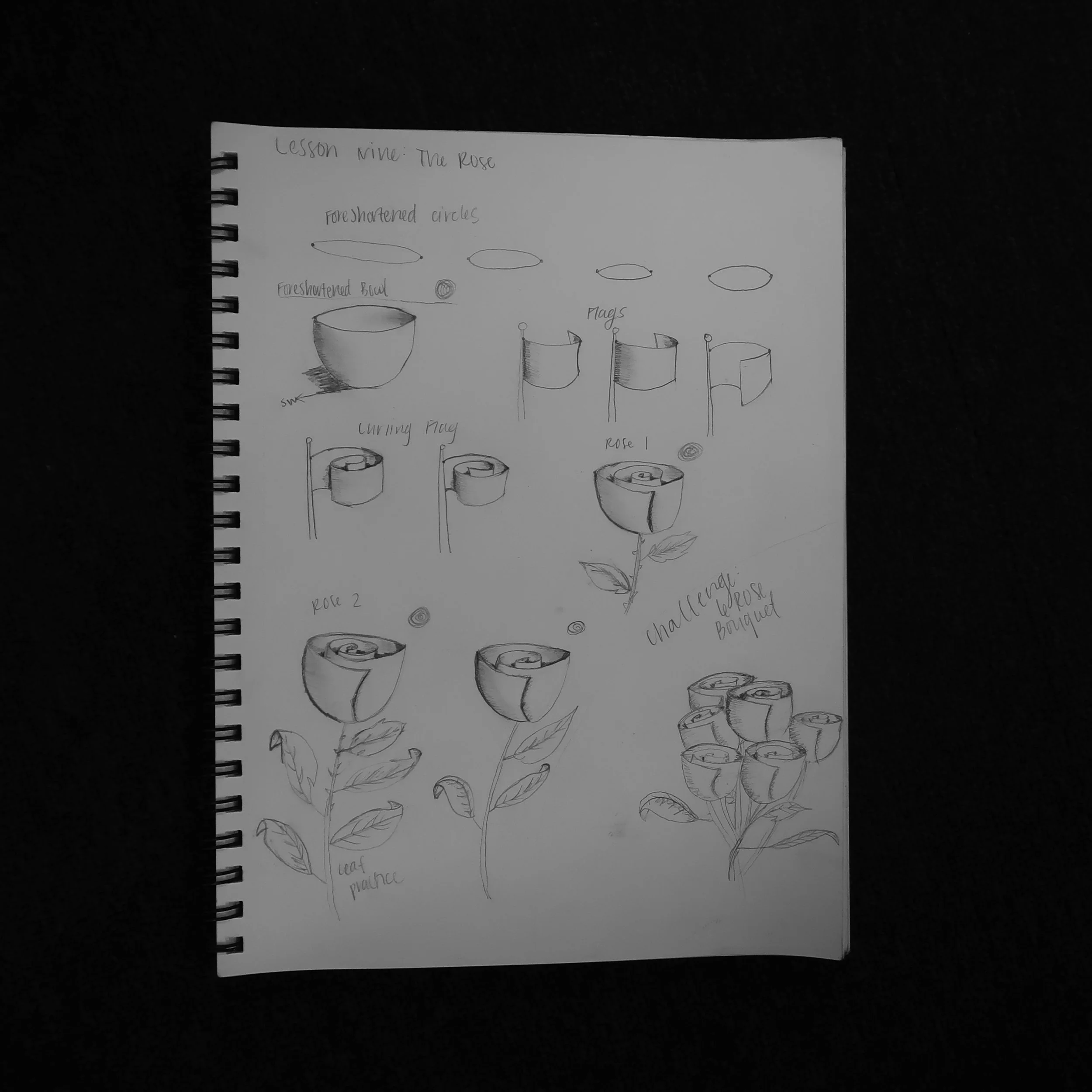 This was the first really hard lesson. Looking back, they're not that bad. They're also not that good.