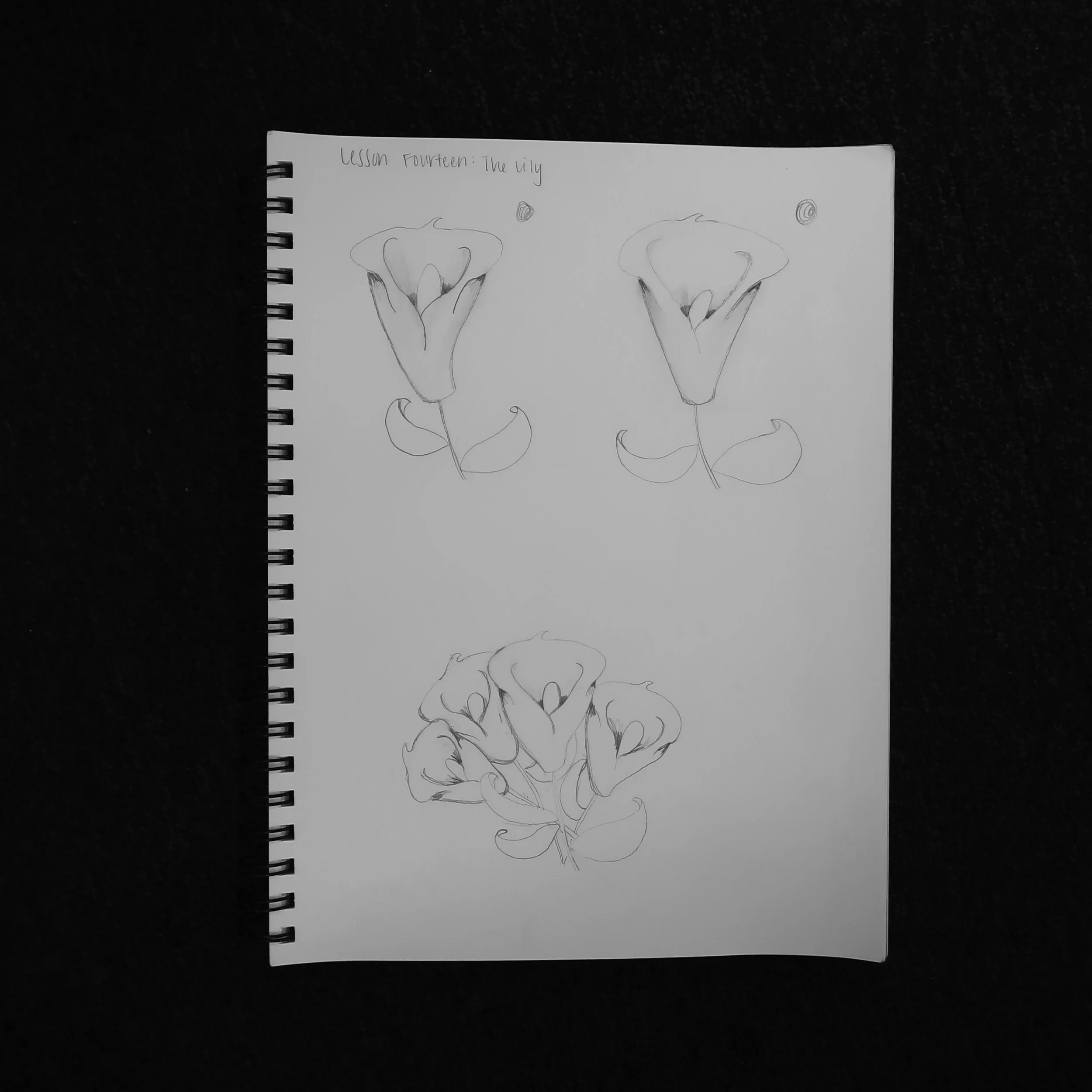 I really was flying blind on this lesson. There were basically no instructions and I was UNHAPPY.