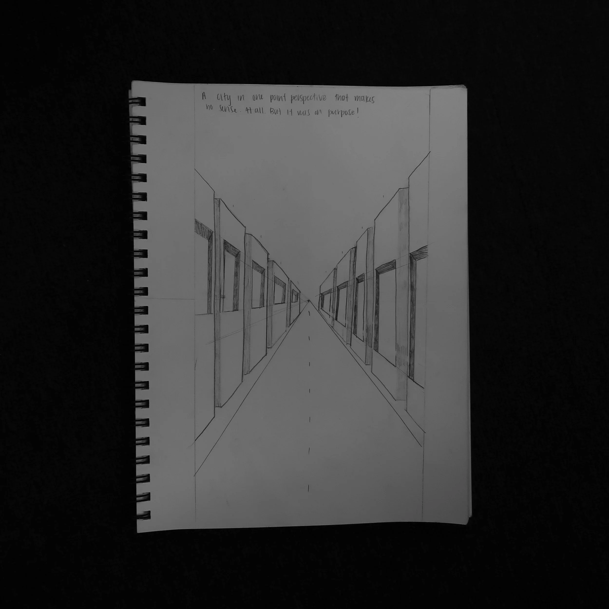 I meant for those to be symmetrical windows on both sides, but they turned into weird holes and I couldn't figure it out, so I went with it. Art!