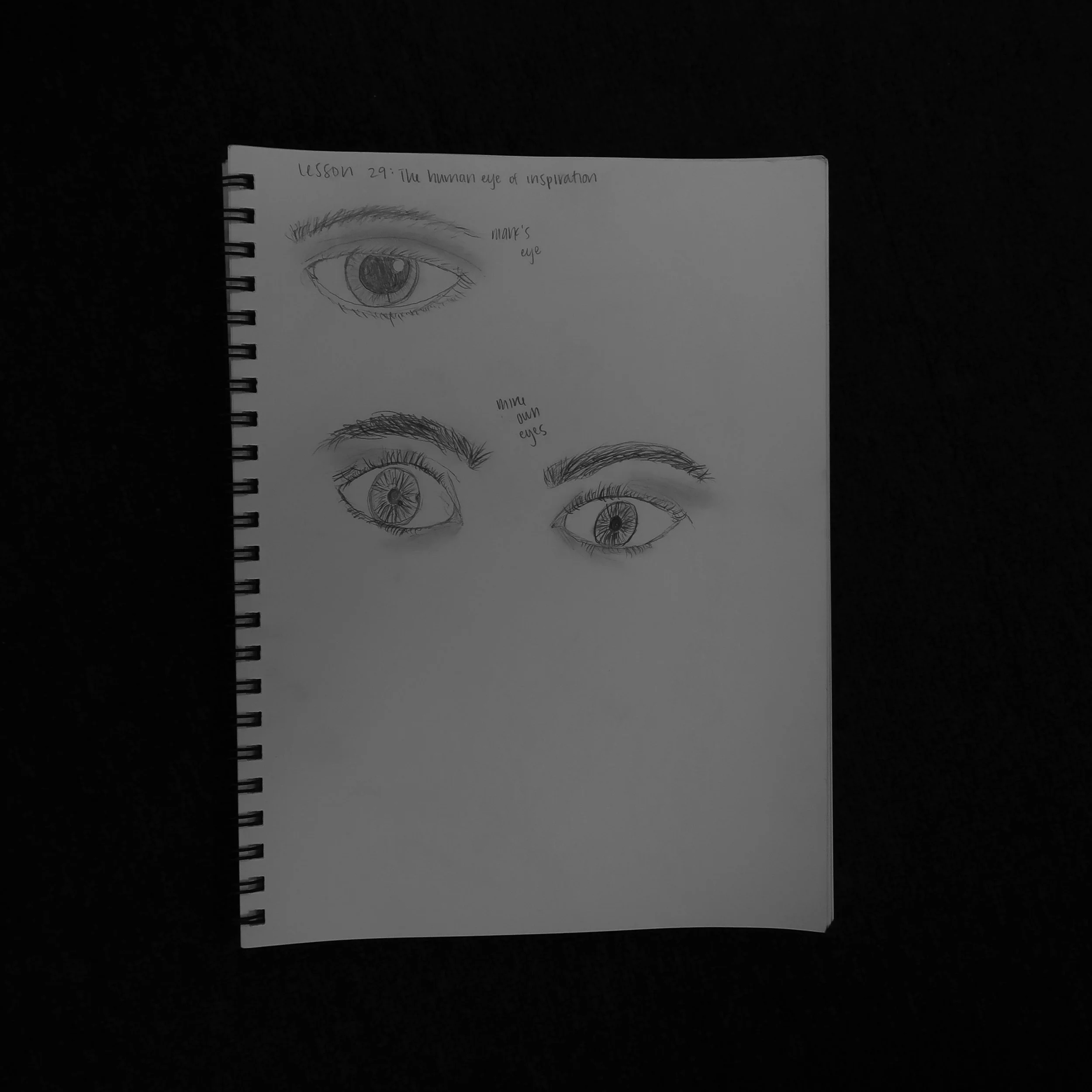 WHY DIDN'T THIS LESSON COME BEFORE THE PORTRAIT?