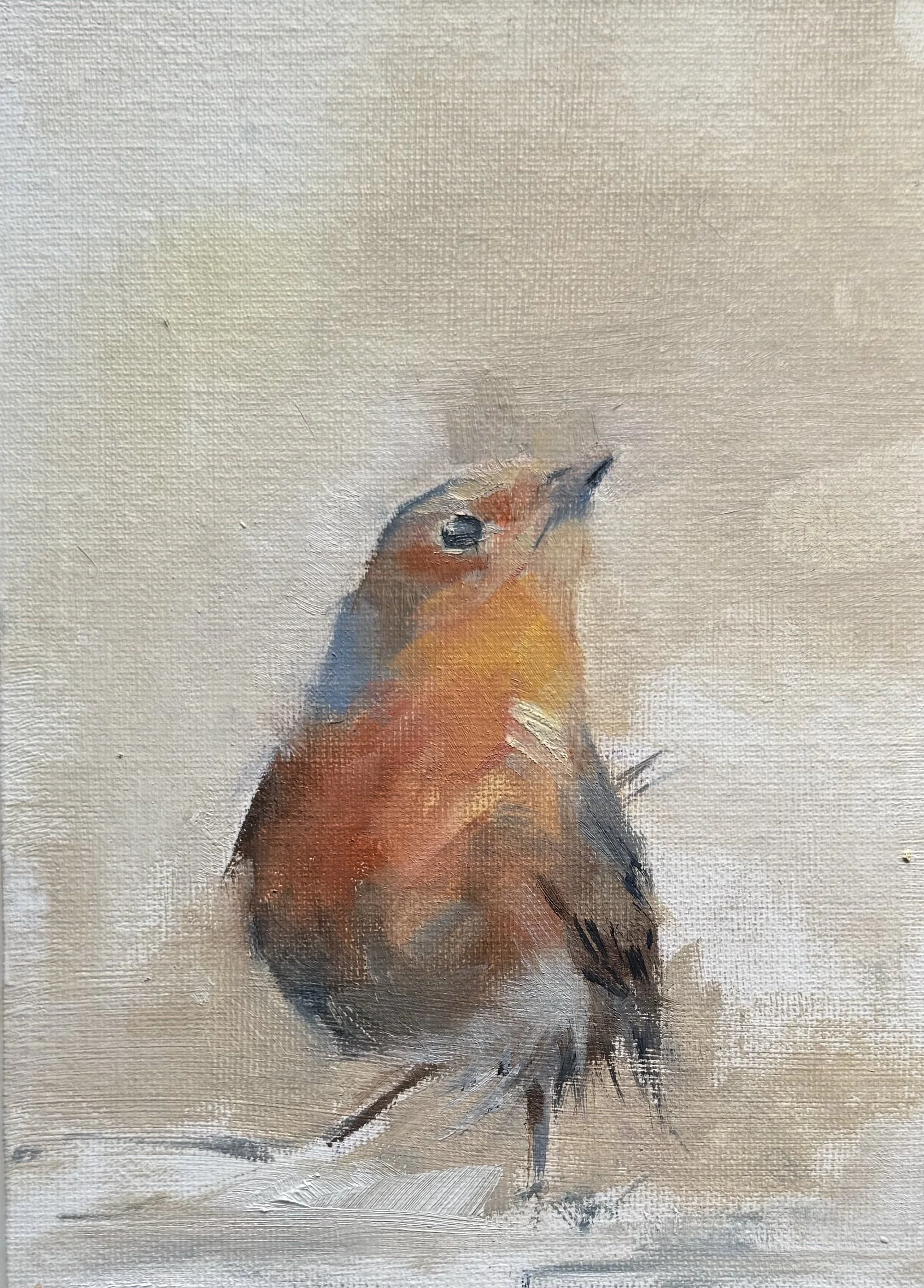 caught by w andr.JPEG