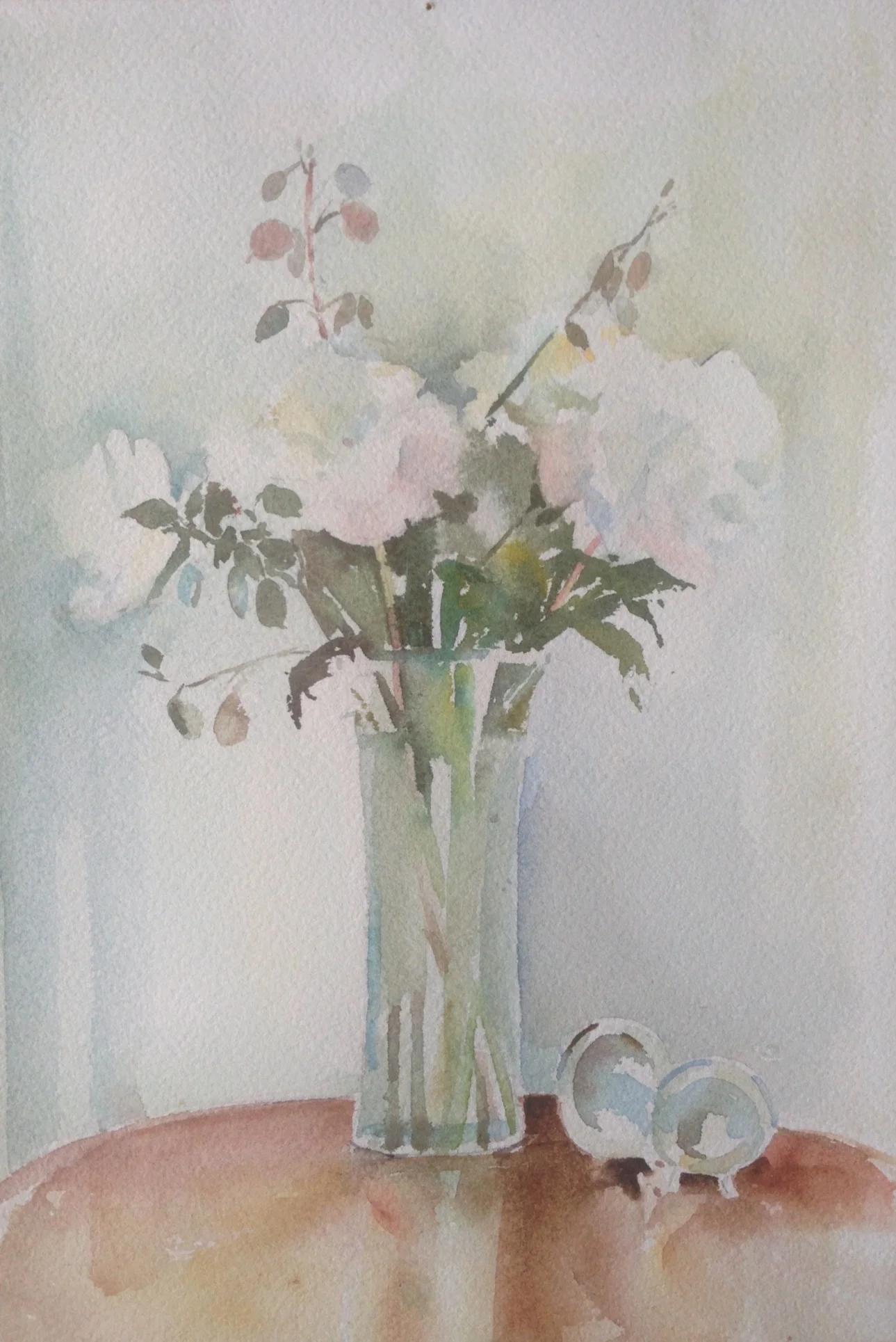 Peonies from Peter`s Garden