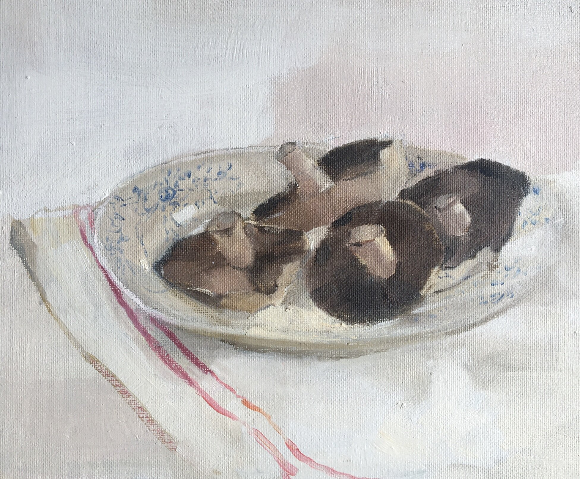 Velvety soft mushrooms