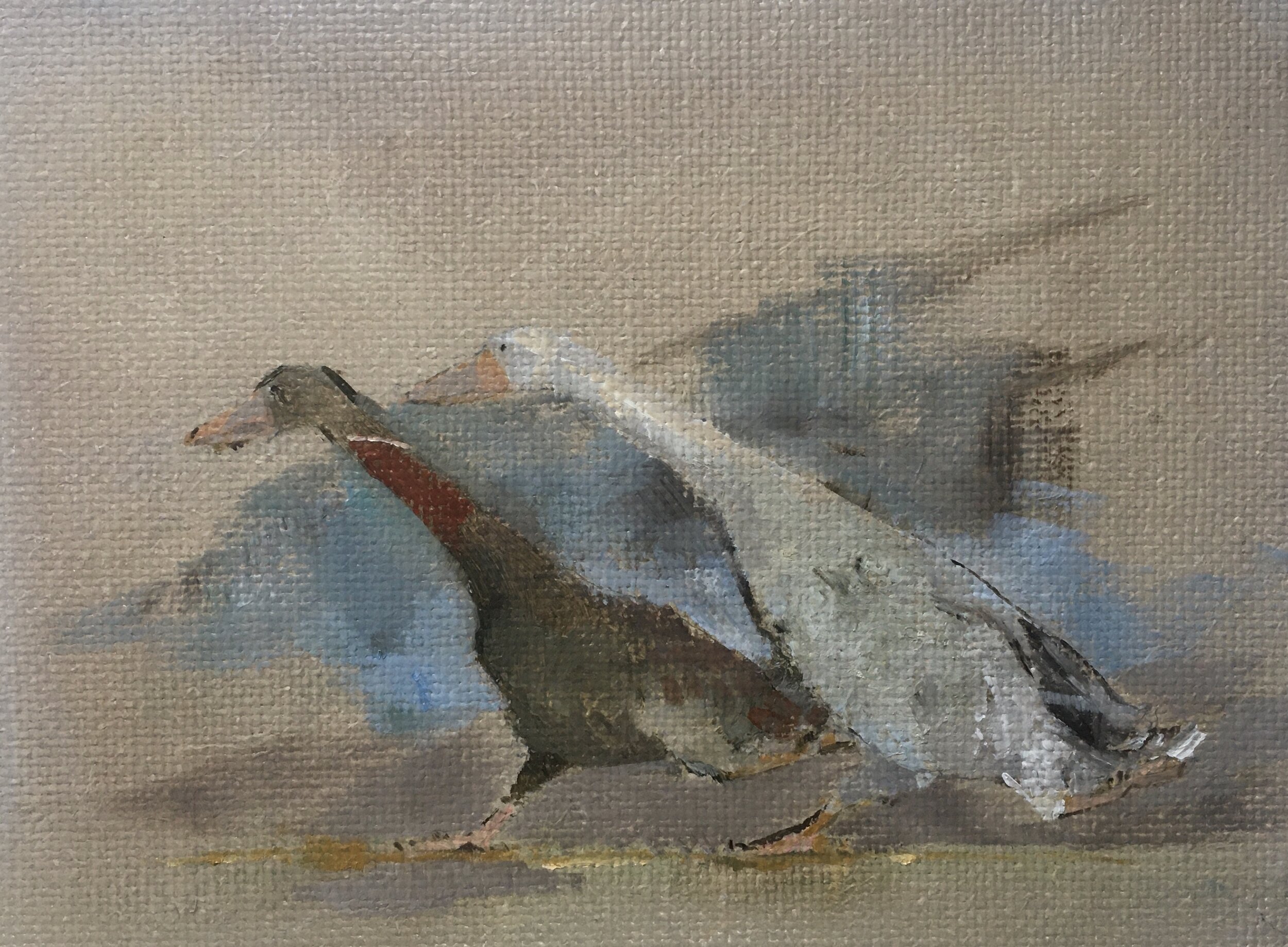 Better late than Never!