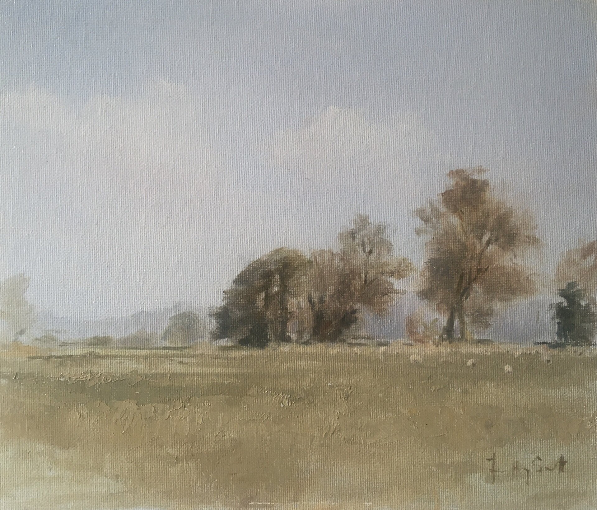 A Fresh Morning by the River