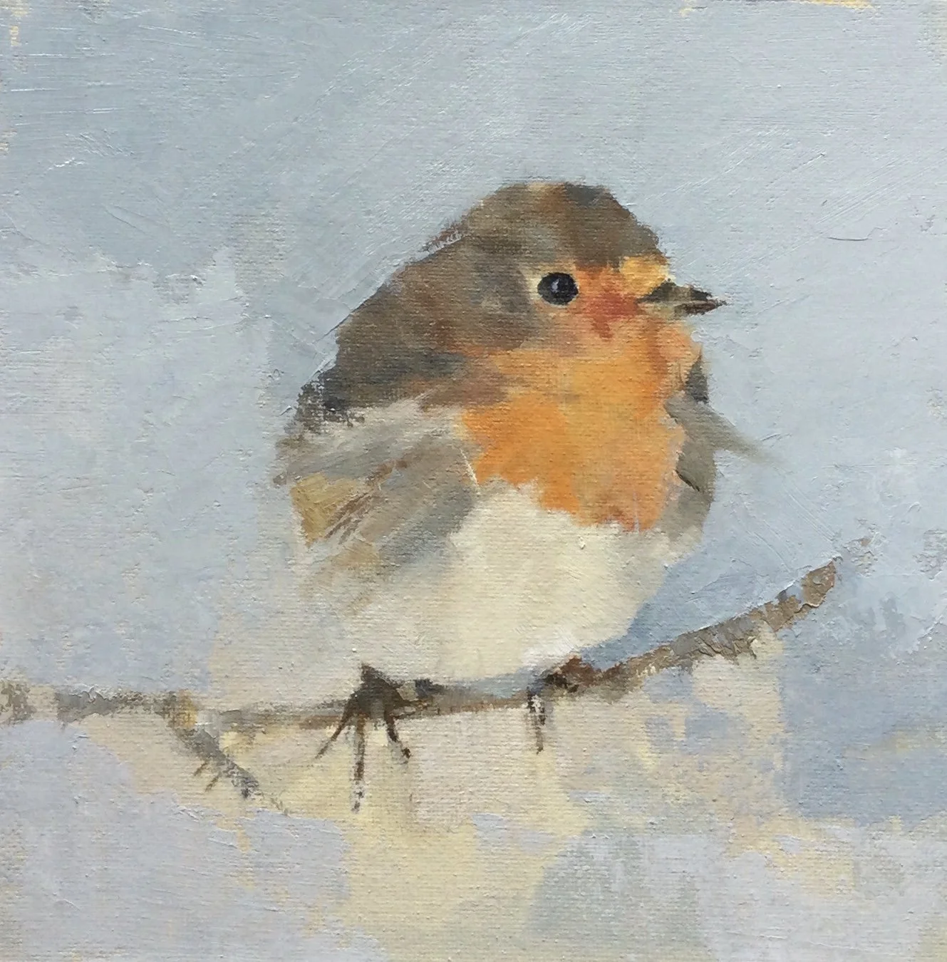 Enjoying the Sunshine