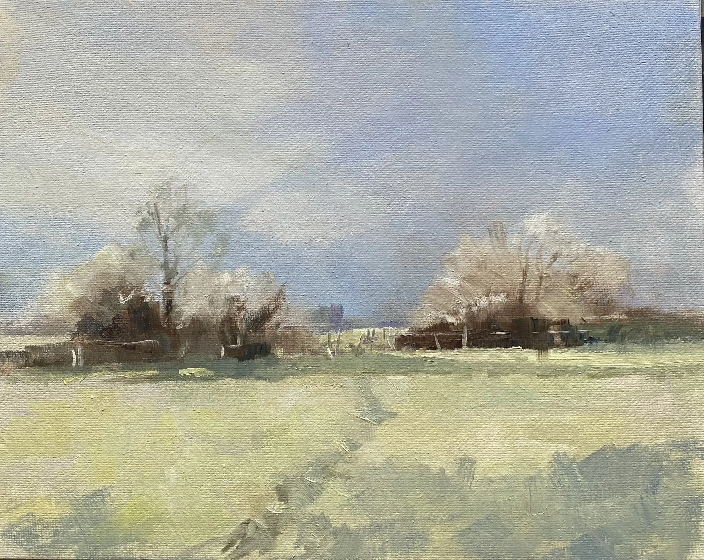 Jack Frost with Sunshine