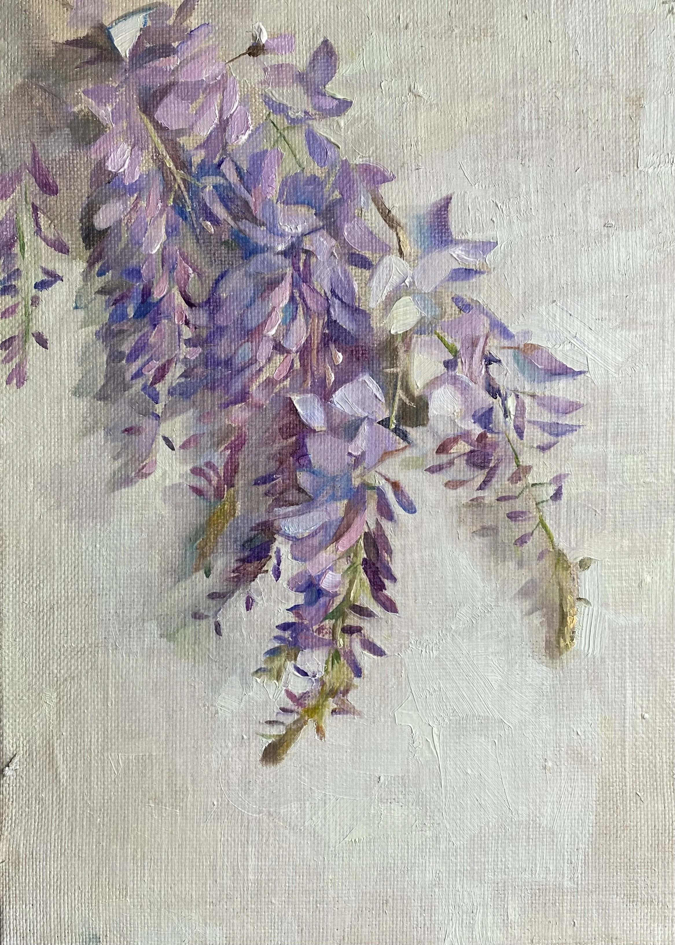 Wisteria