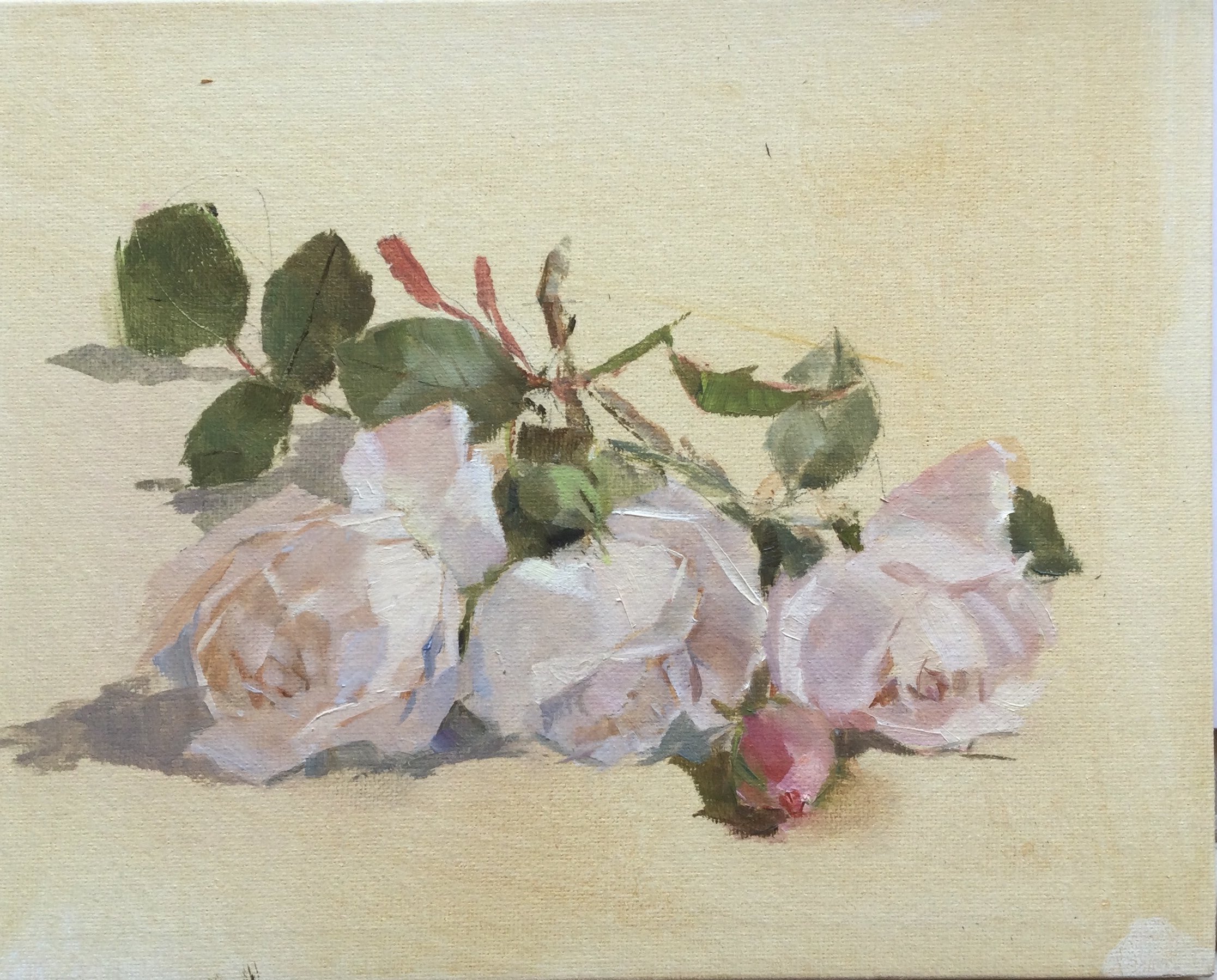 Rescued from the Wind