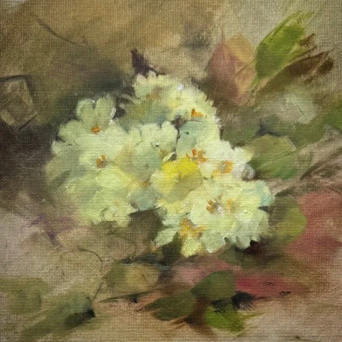 Spring in the garden .
By Jeffy 
&ldquo;Monday morning and the sun has come out so those primroses that have been begging to be sketched have won me over.&rdquo; 
Oil on canvas board 
8x8 inches.
Link in bio

#primrose #gardenflowers #contemporaryfin