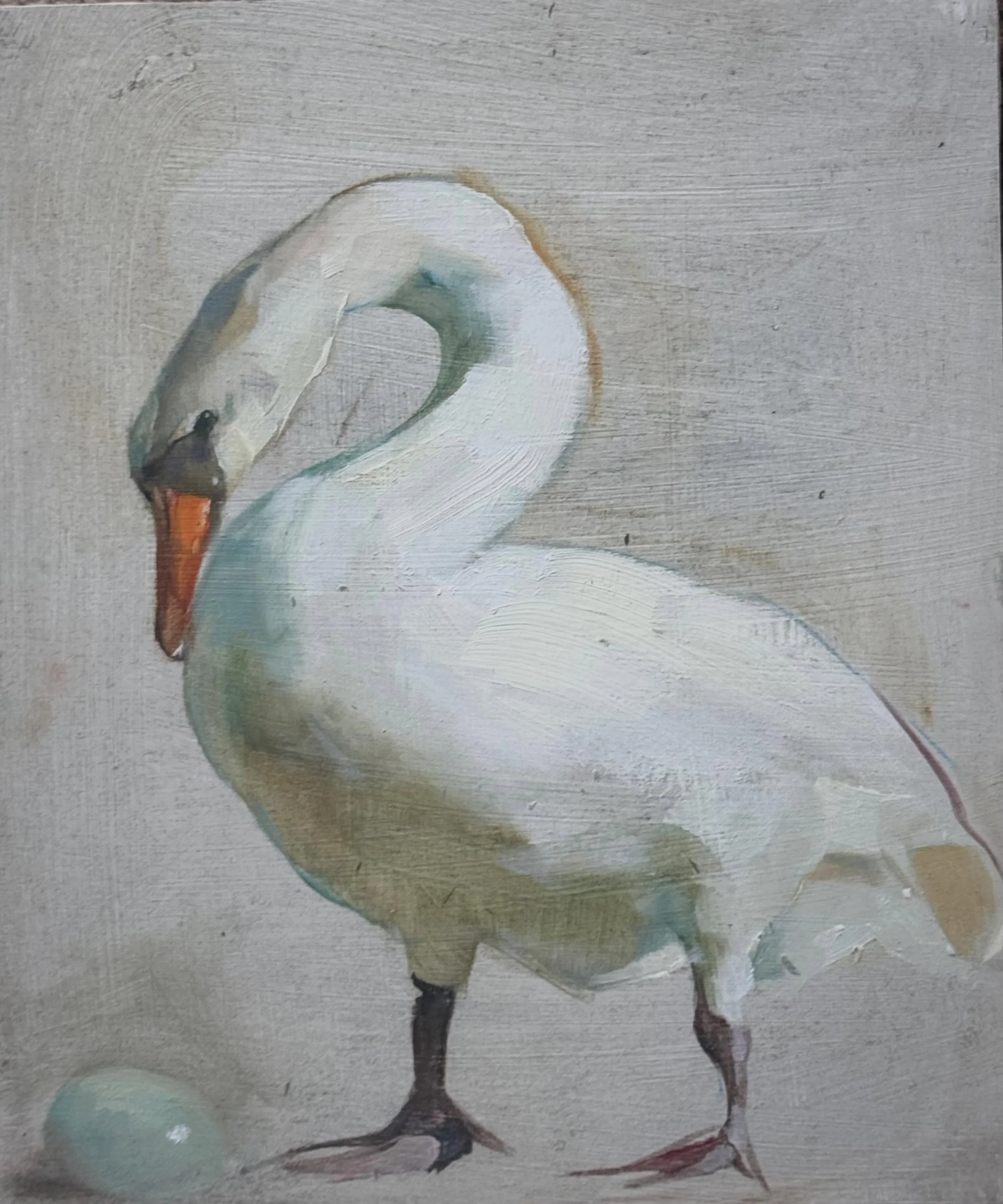 Happy Birthday Sir David Attenborough!
A Mother&rsquo;s love by Harriet.

Oil on panel.
10x12 inches.
Please comment or go to the link in our bio for more information.

#motherslove❤️ #davidattenborough #swan #birdlove