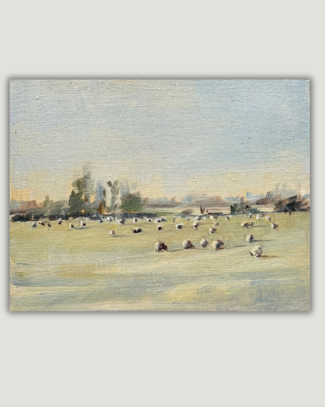 Enjoying the Frosty sunshine