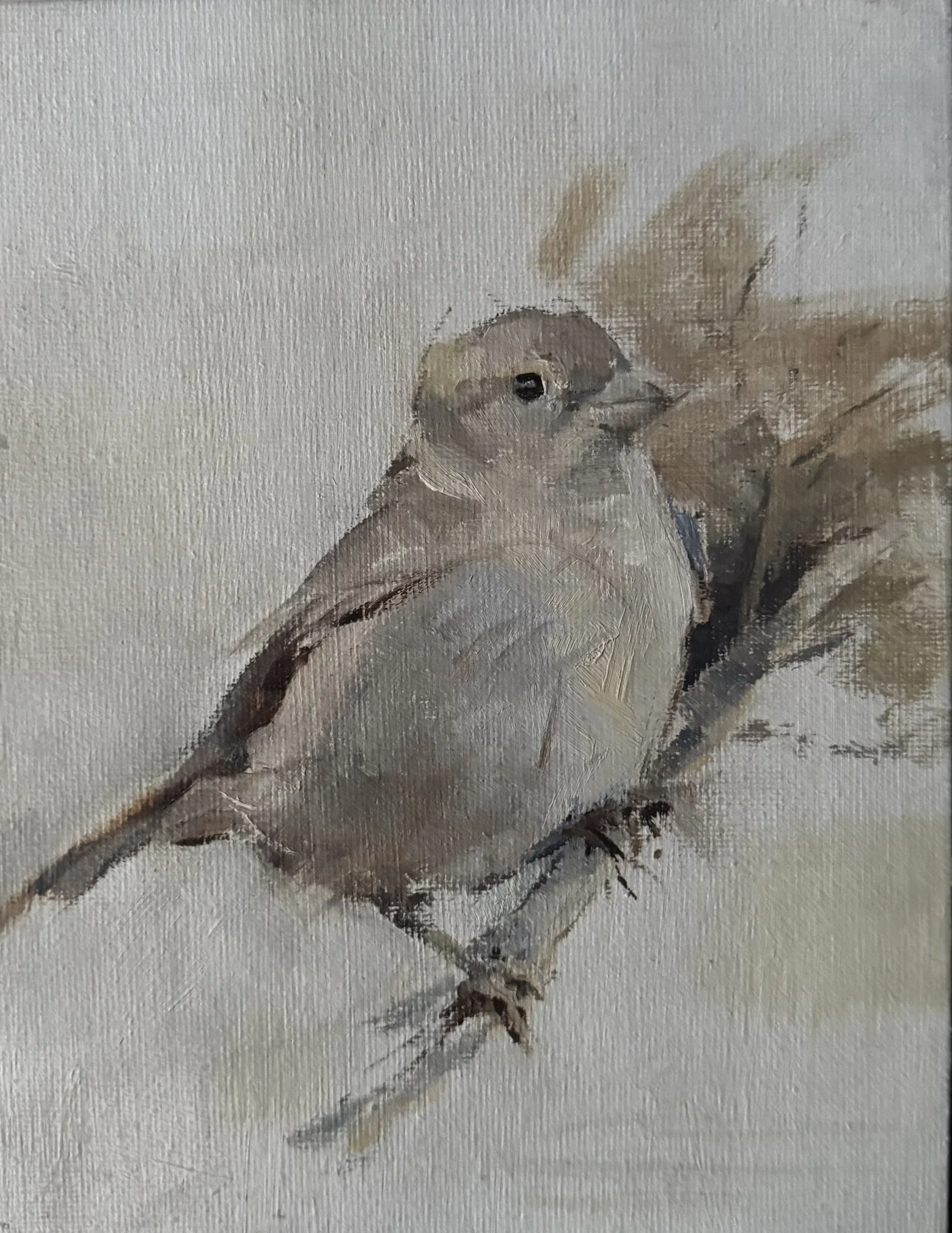 Chirpy character.JPEG