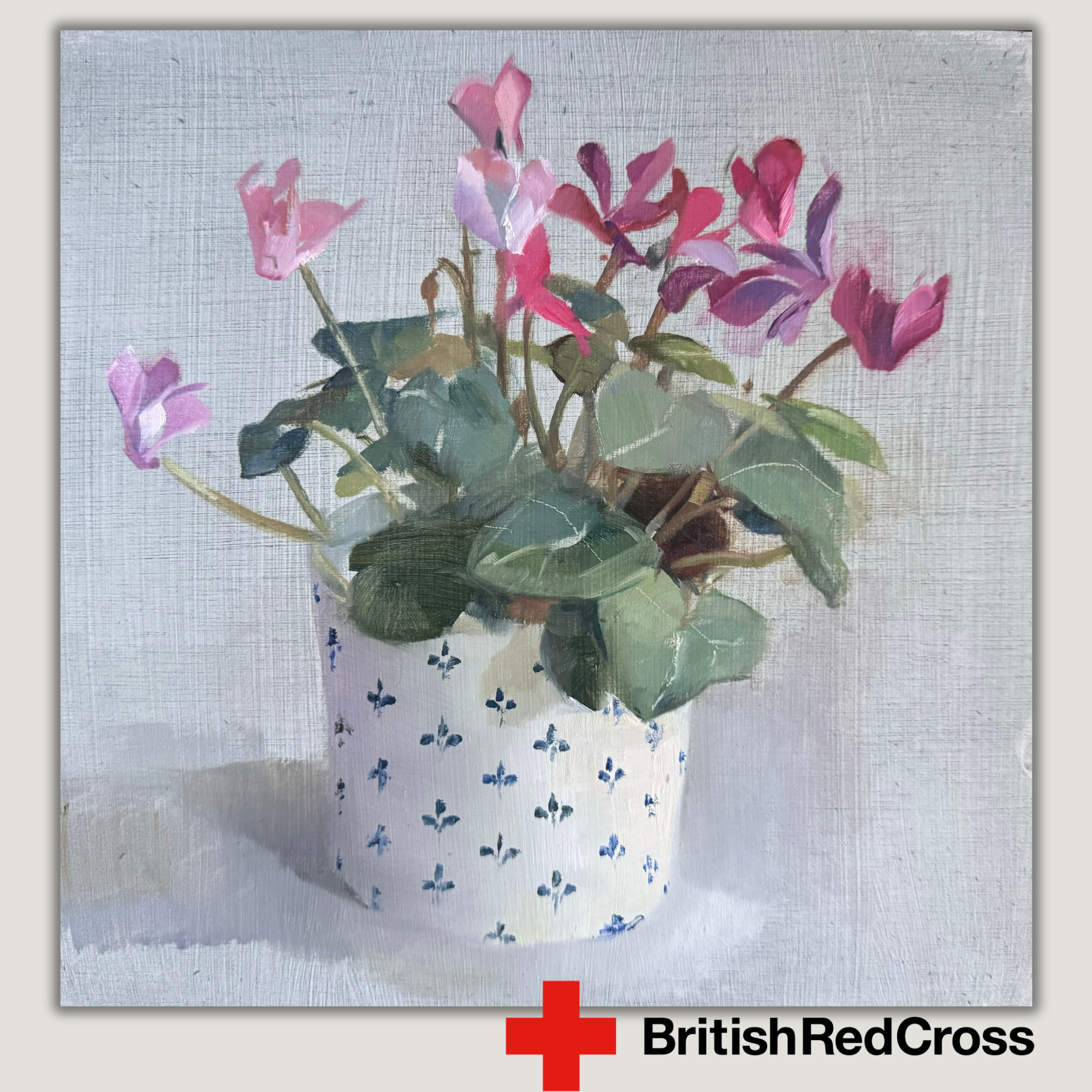 Pinks in a Blue and White Pot for the British Red Cross.