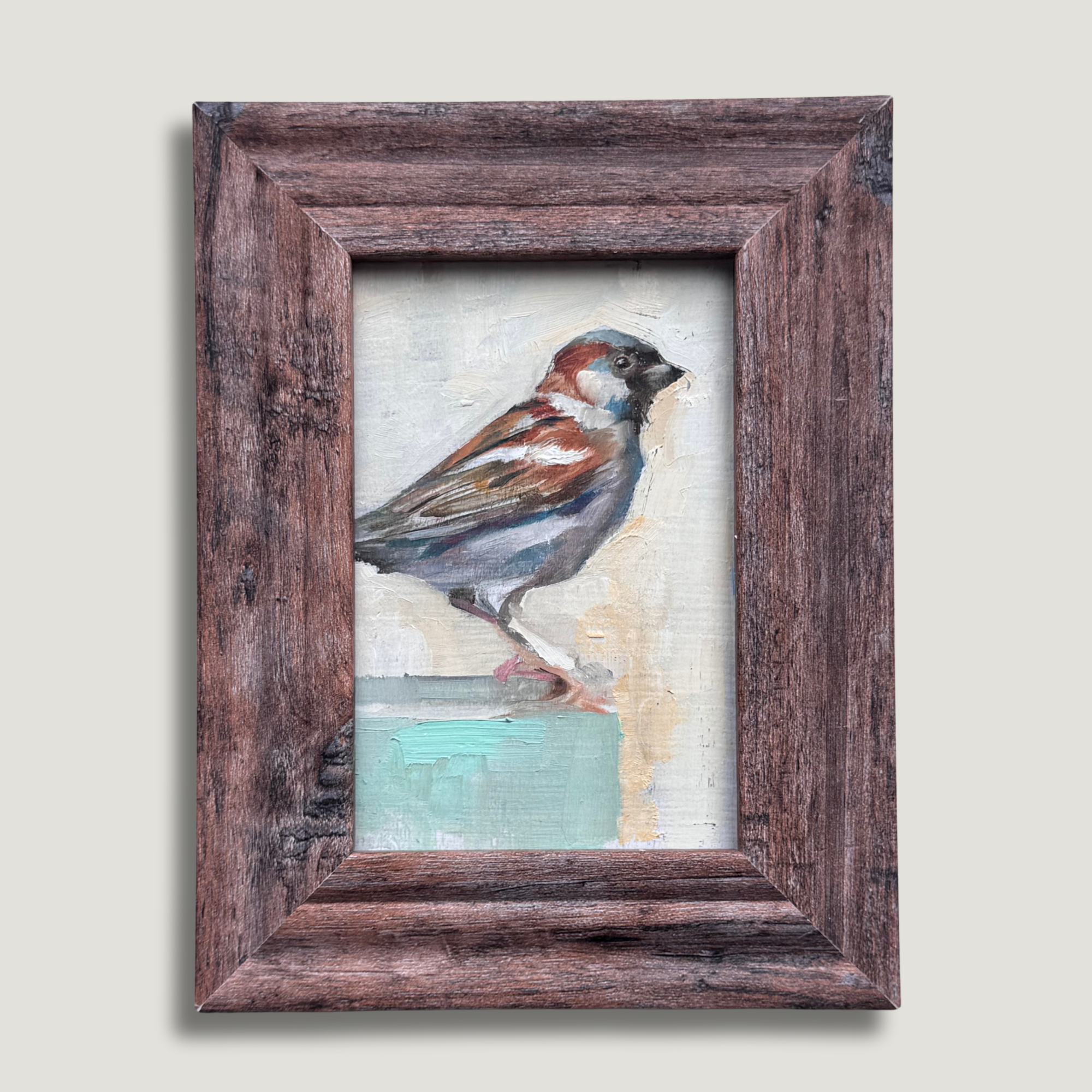 The House Sparrow