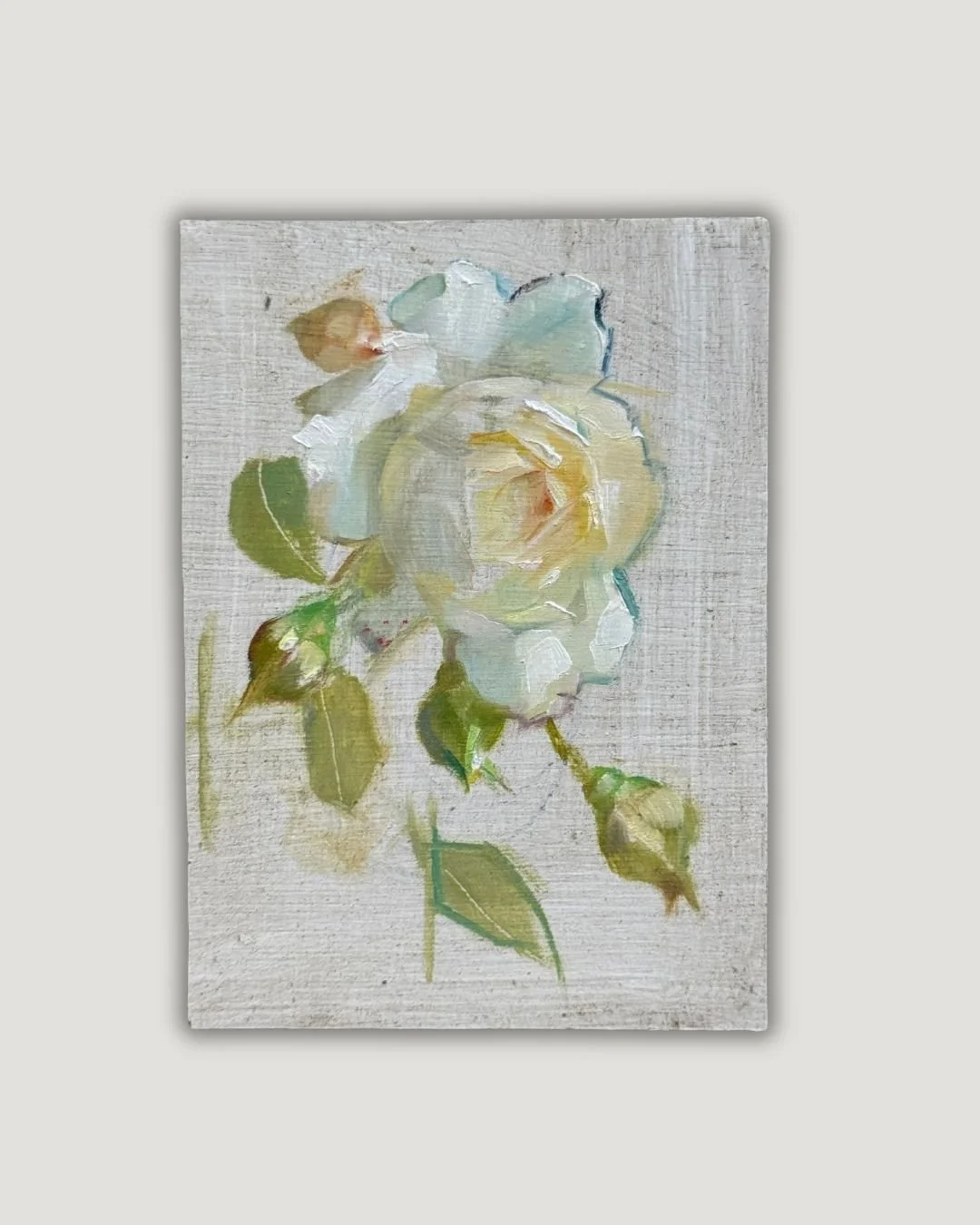 Copy of Gift Card250 63.jpg
