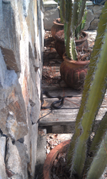 Oh hello... welcome to the studio... I'll be your tour guide...