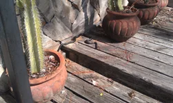 Um... everyone needs to get inside. NOW, lol!